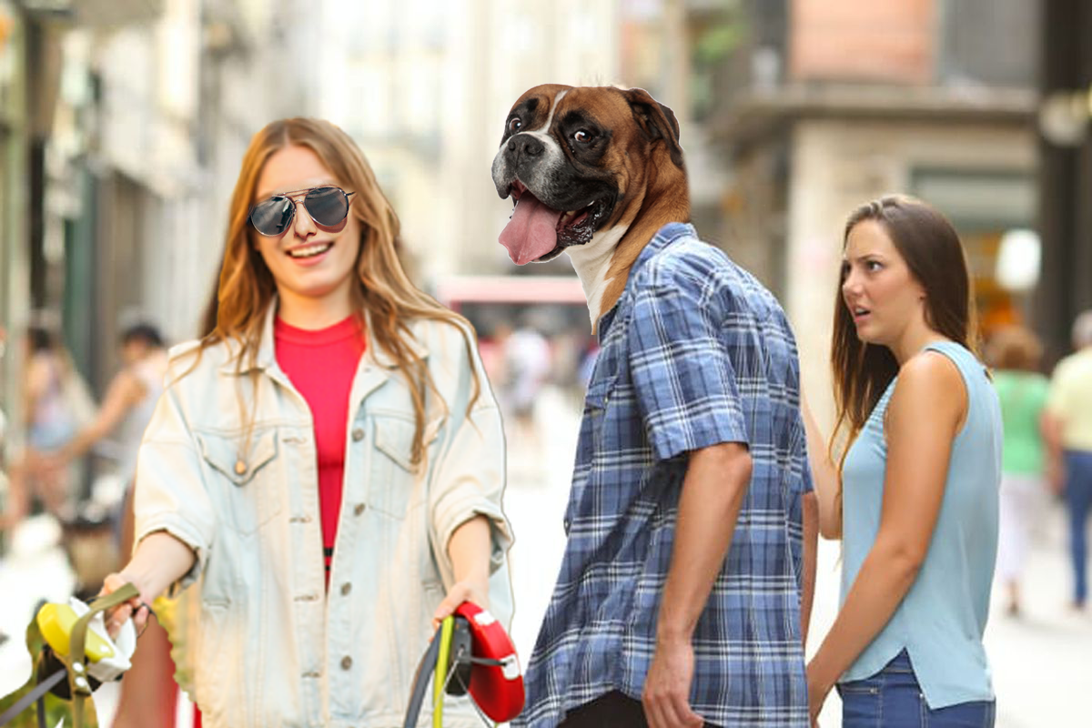 Why Your Dog Listens to Your Trainer, Not You (And How to Get the Same Results)