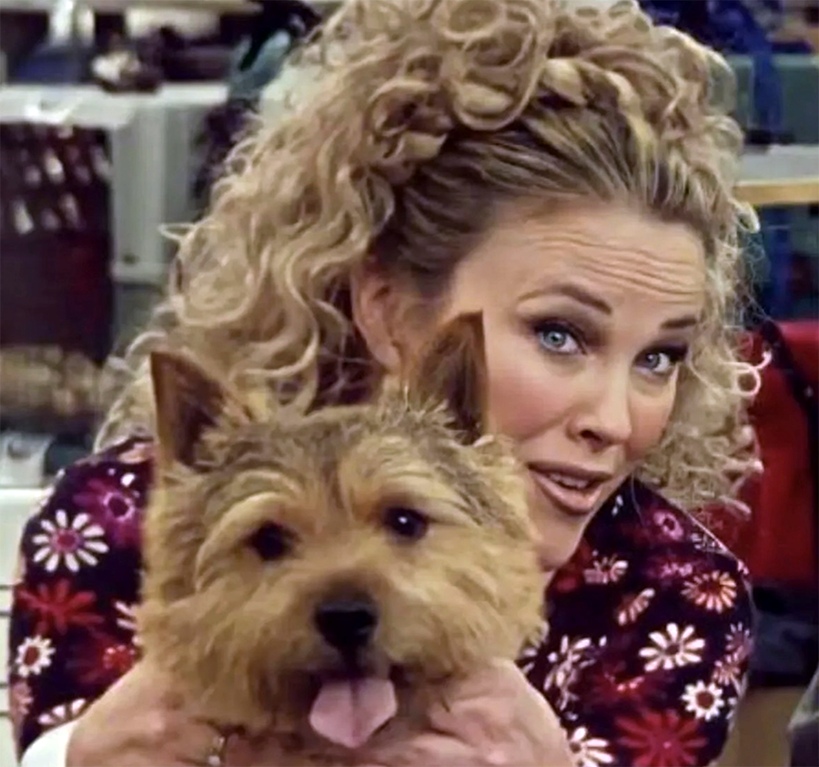 Westminster Wrap Up, Ukraine’s Canine Update, Clearlake Shelter Help, and More!