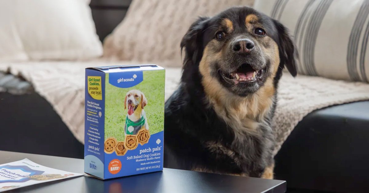 Girl Scout Cookies Go to the Dogs, A Chihuahua-Coyote Connection, ASPCA’s Dog of the Year, and More!