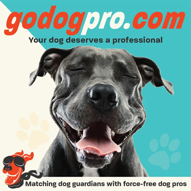 Go Dog Pro