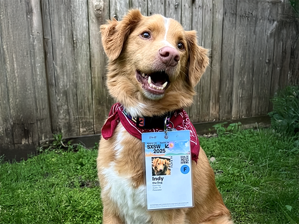 Actor Pup Beats Human Stars, Your Dog on CBD, AKC Adds Three New Breeds, and More!