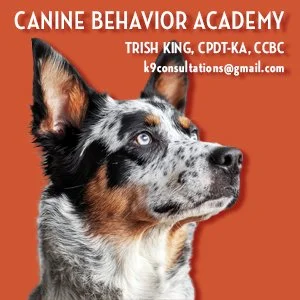 Trish King – Canine Behavior Academy
