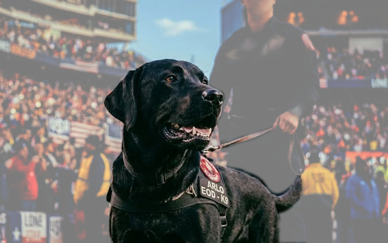 FIFA's Fidos, California Canines Go Postal, Ghost Dogs of the Amazon, and More! 