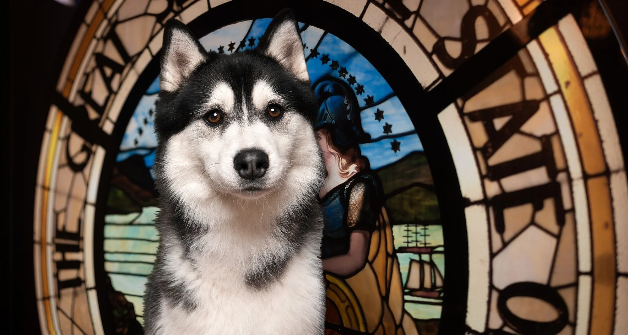 Call to Action: California Needs a State Bureau for Companion Animal Welfare