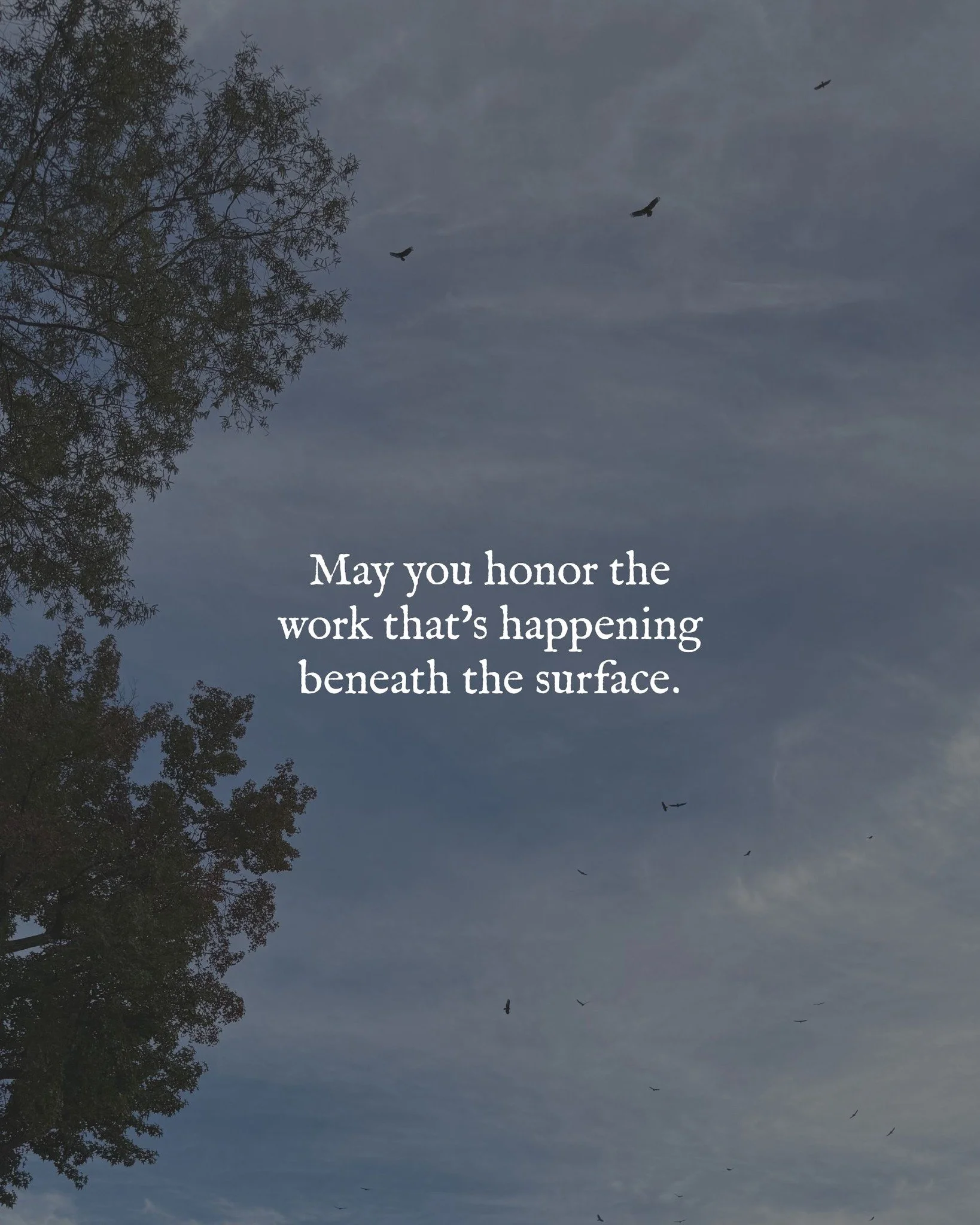 Before anything takes form, it begins in quiet: an idea, a whisper, a slow unfolding beneath the surface.

This week&rsquo;s blessing is for that space - for what&rsquo;s still becoming.

The Sanctuary Collection arrives November 12. Until then, may 