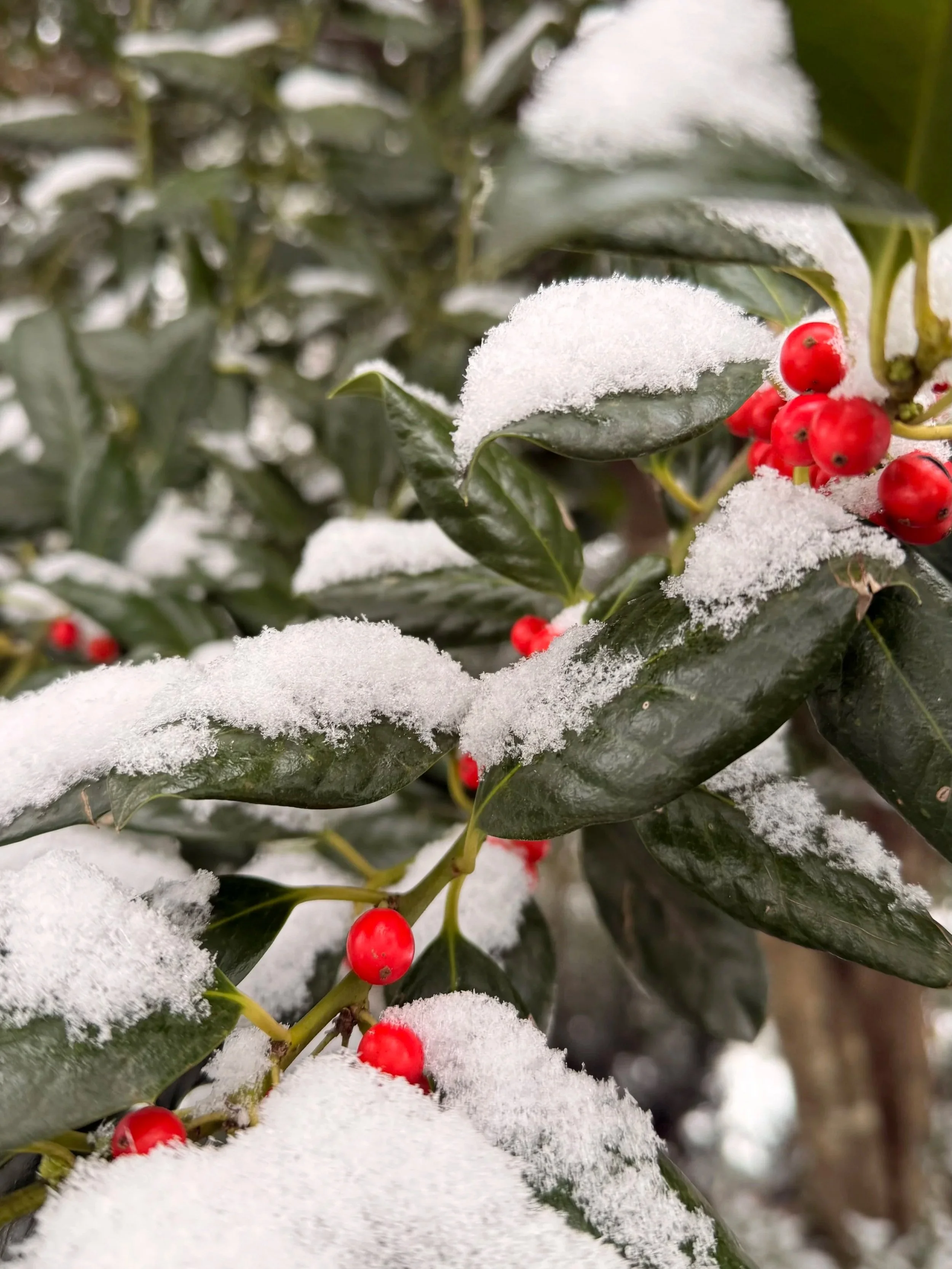 A Season of Stillness