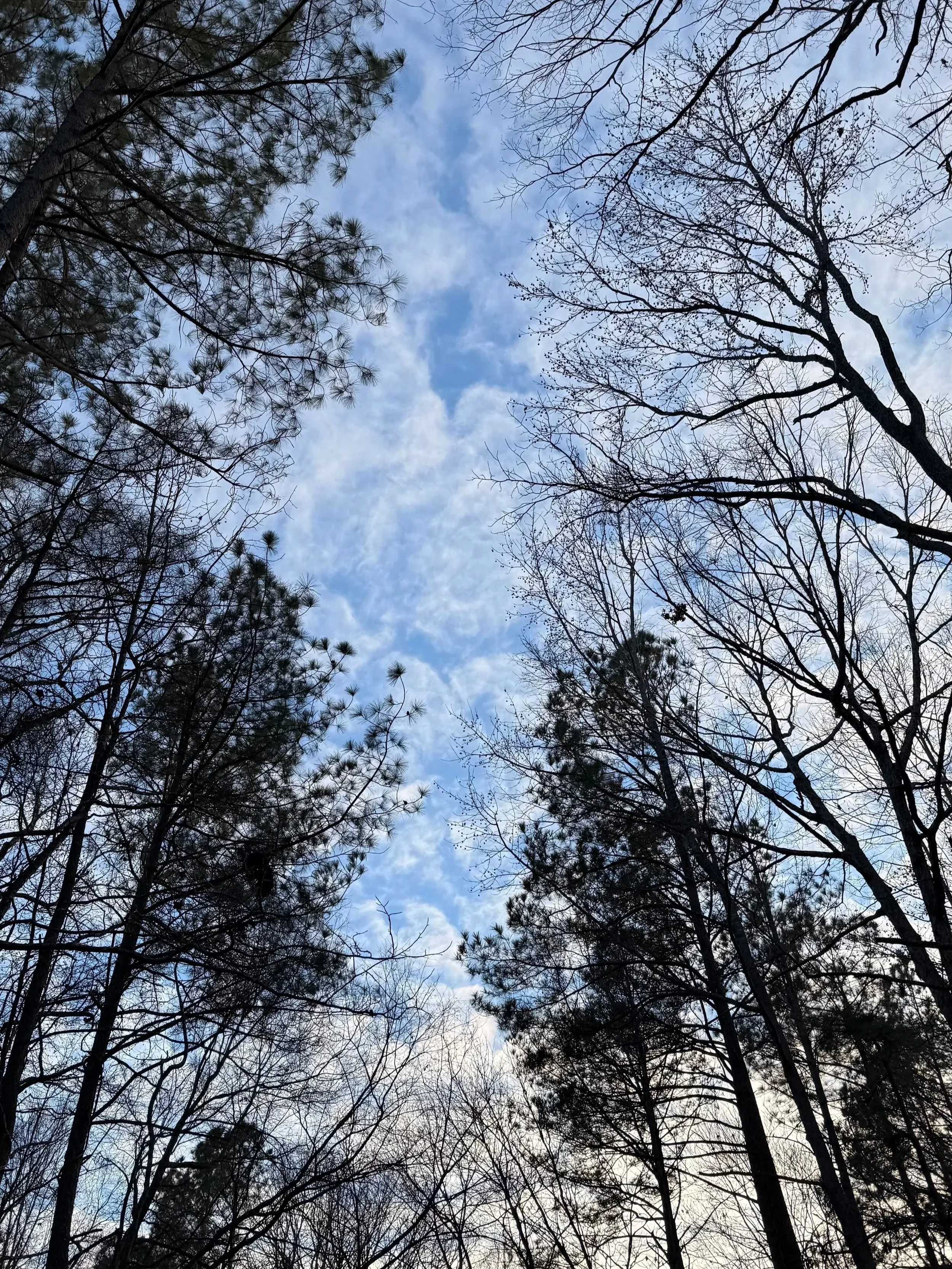 Letting the Year Begin Softly