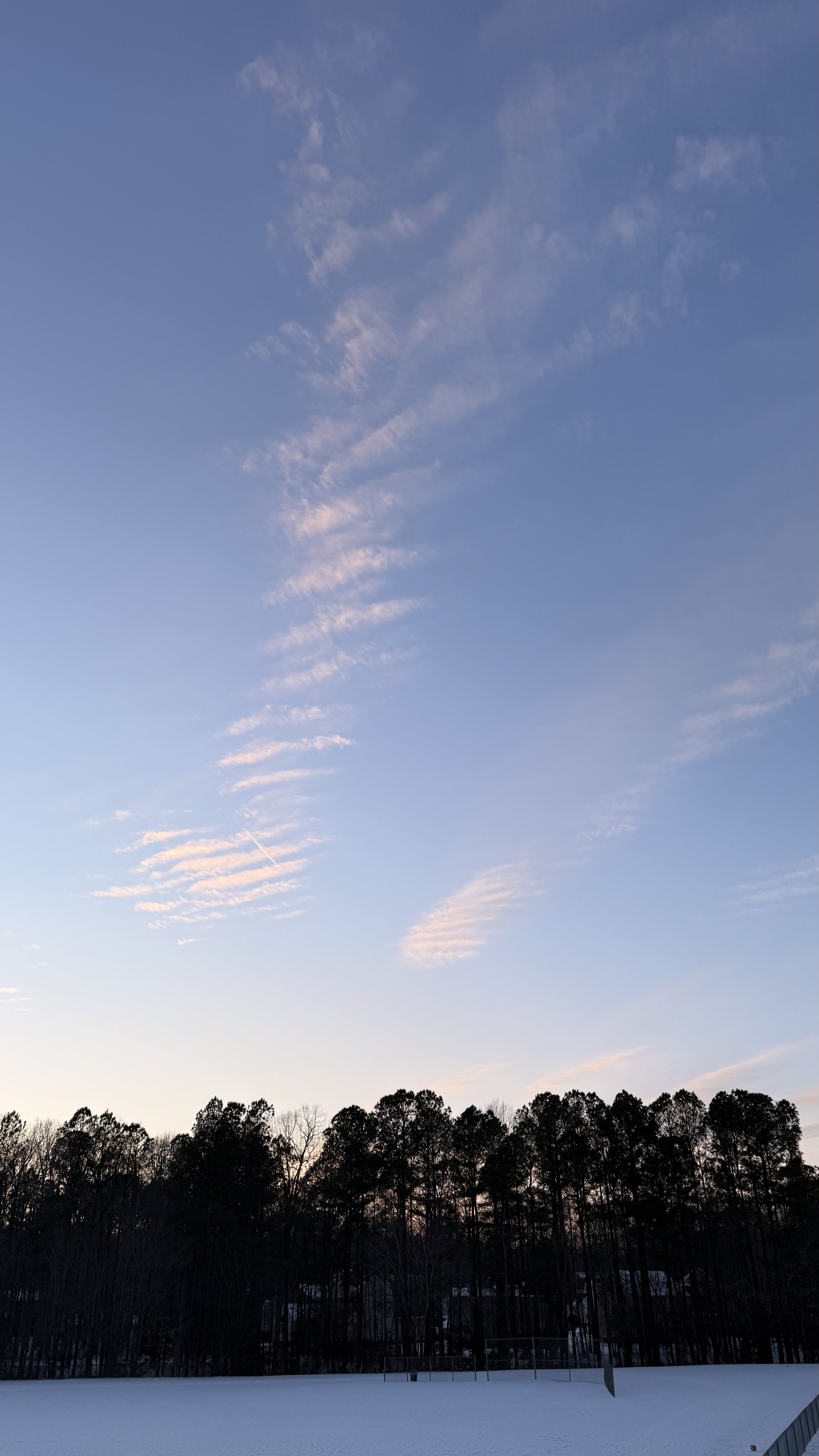 Pale blue winter sky with soft, feathered clouds above a dark tree line and snow-covered field at dusk.