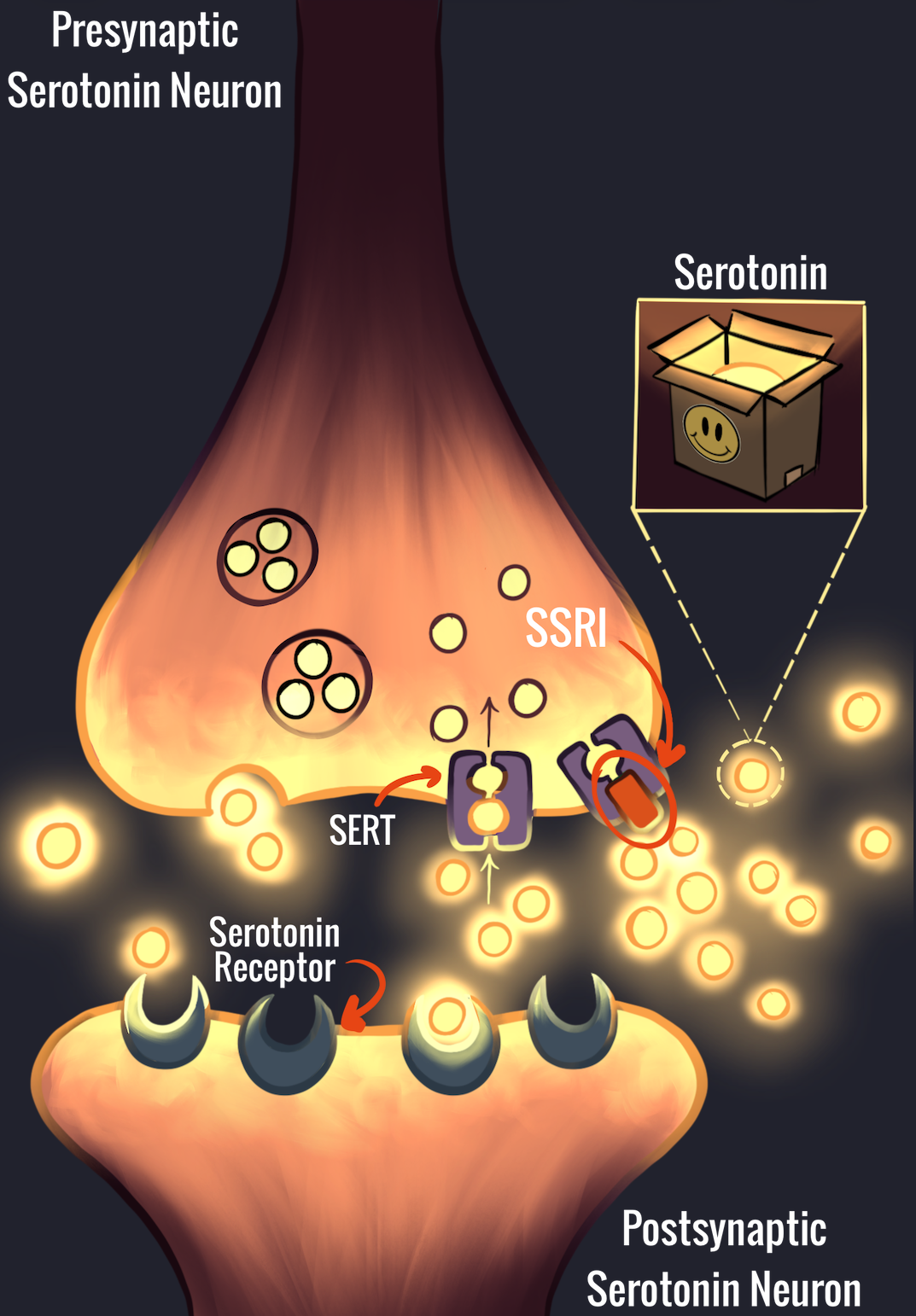 Art by Maisy Richardson, “SSRIs And Storks: The Complicated Relationship Between SSRIs And Pregnancy”