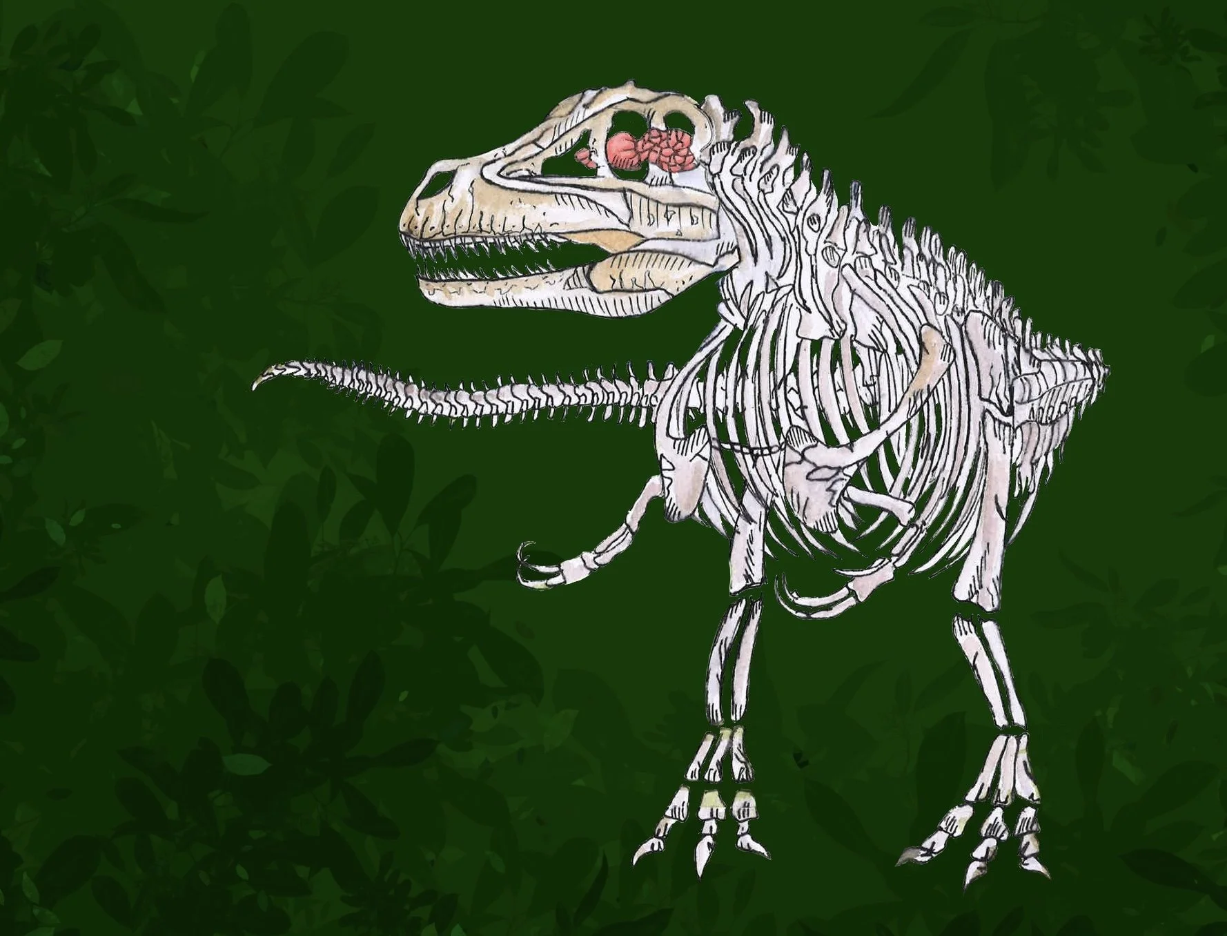 Dinosaur Cognition: Not Set in Stone
