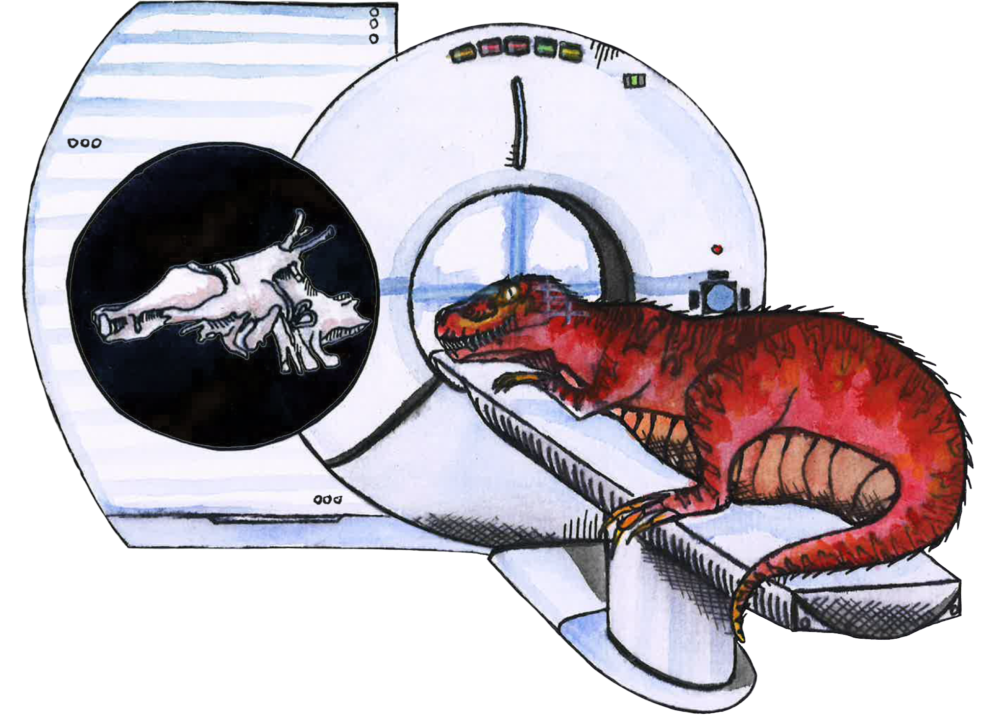Art by Anna McFadden, “Dinosaur Cognition: Not Set In Stone”