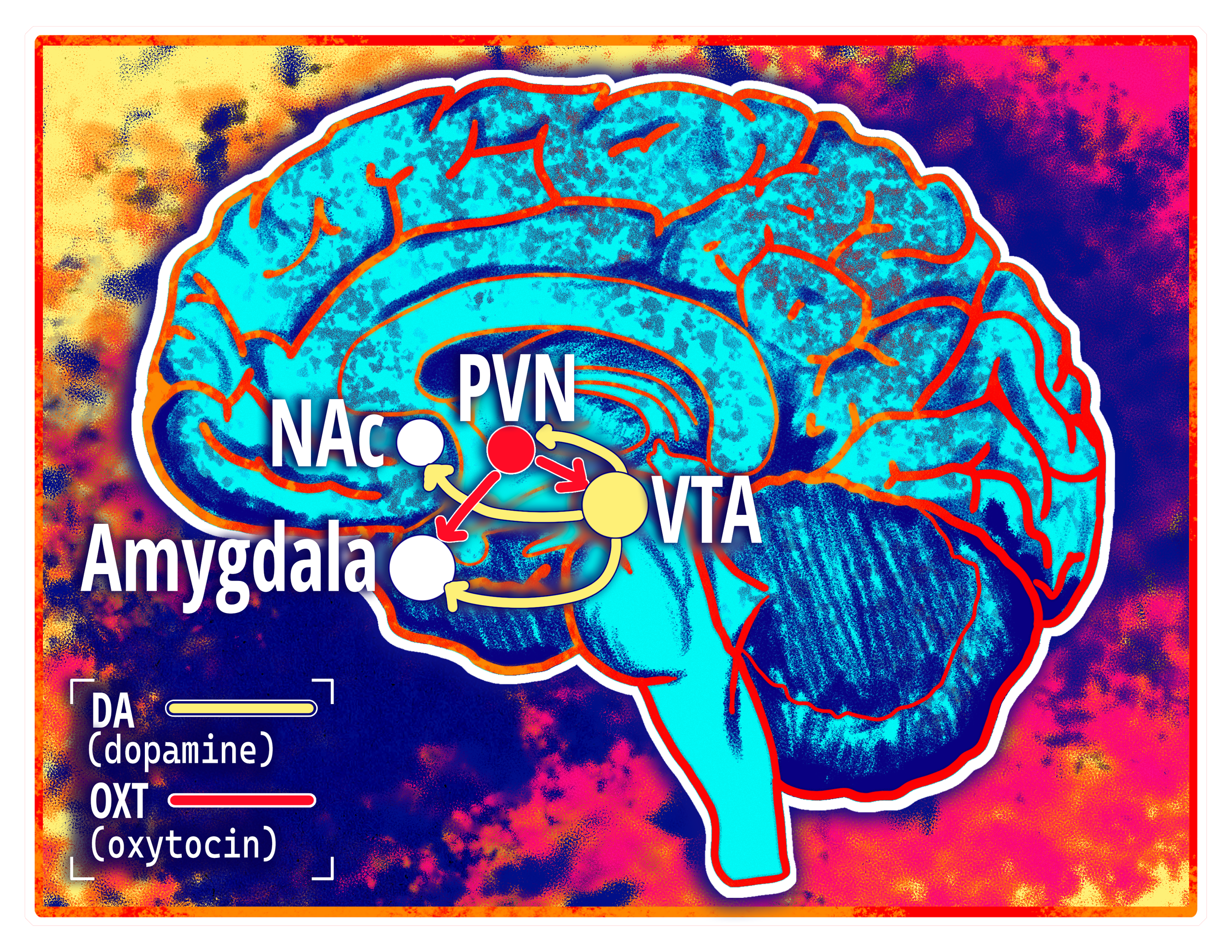 Art by JD Jarolimek, “A Literary Classic: Oxytocin And Dopamine In Autism Spectrum Disorder”