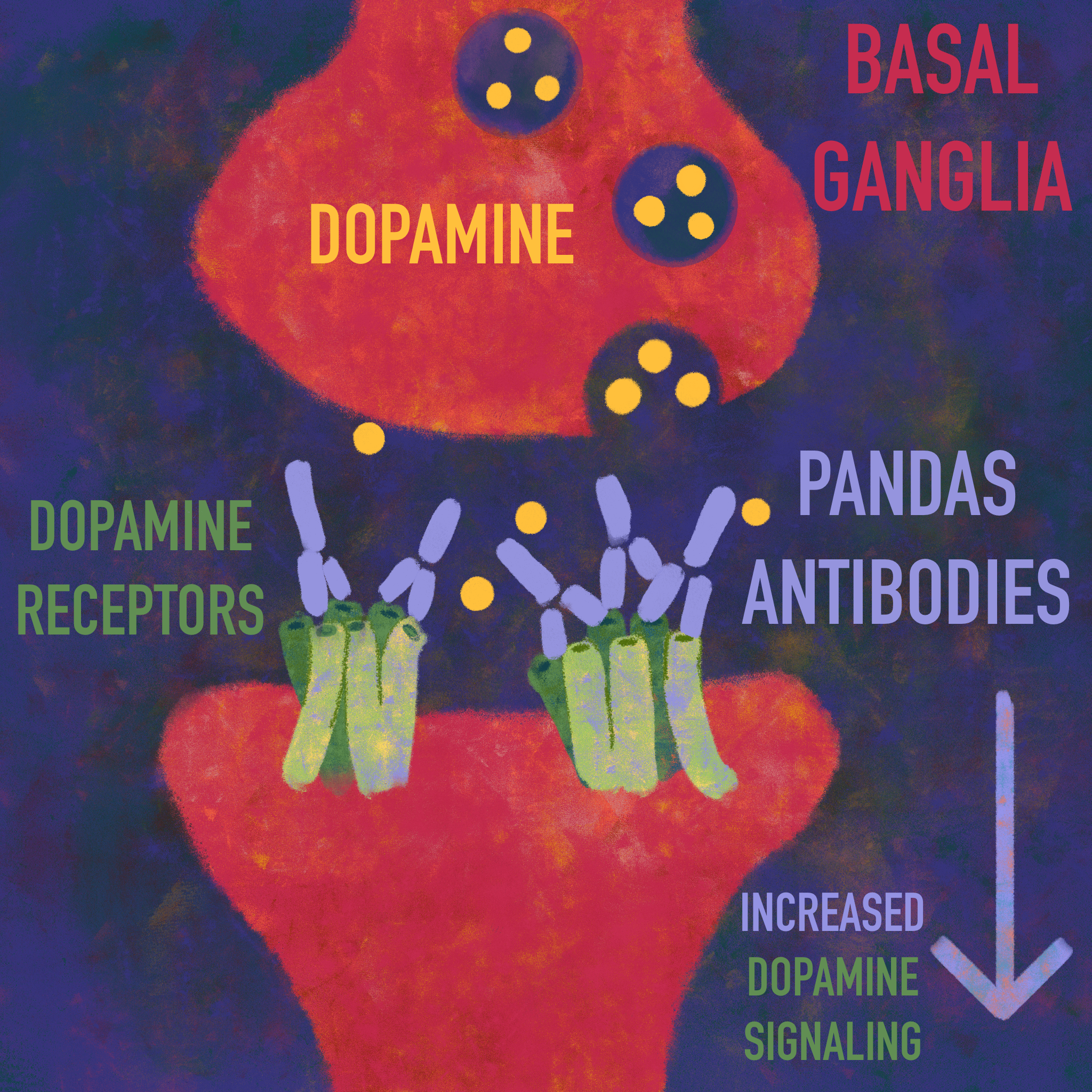 Art by: Leo Mahlke, "PANDAS: A Not so Fluffy Disorder"
