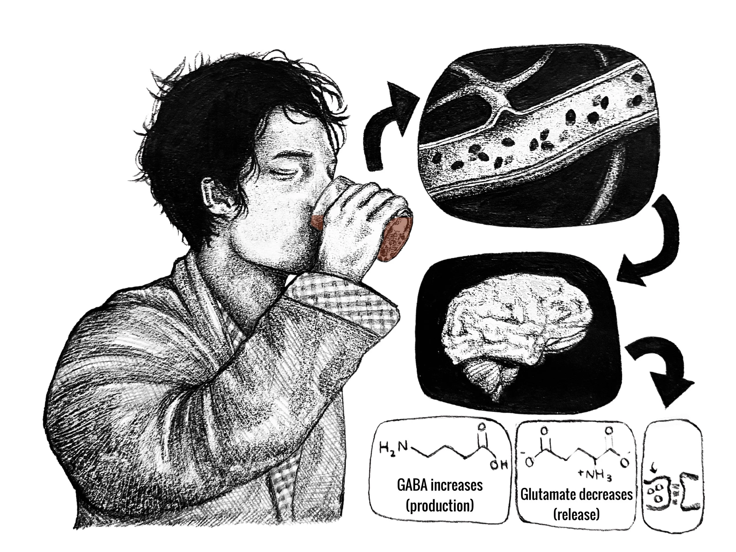 Art by Ruimei Chau, “Drinks On Me: How Alcohol Consumption Impacts Your Brain”