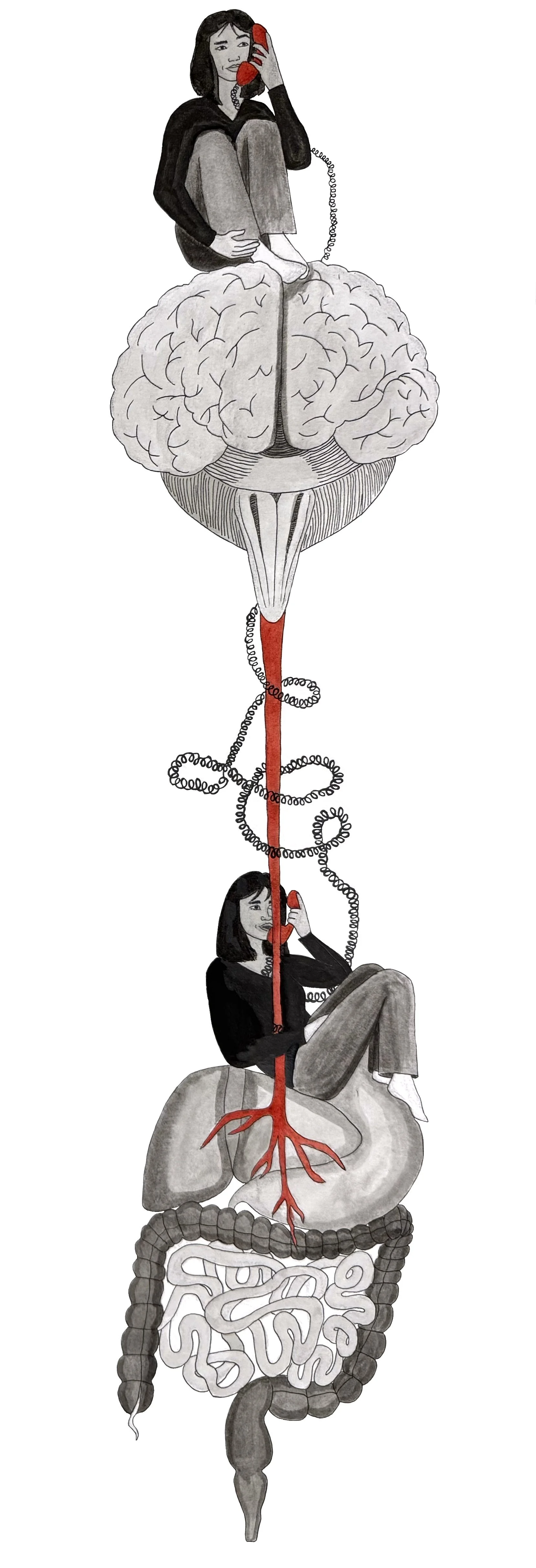 Art by: Elizabeth Catizone, "It Takes a Microbial Village: Maternal Microbiota and Neonatal Neurodevelopment"