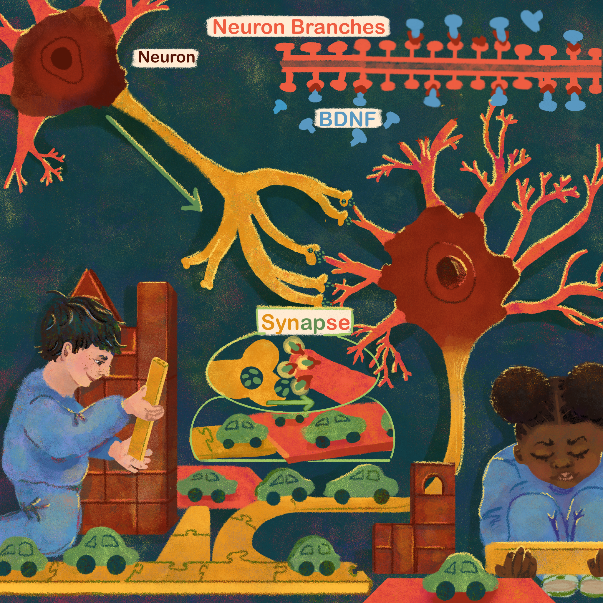 Art by Leo Mahlke, “Pretend Play, Real Benefits: How Play Wires Brains In Childhood”