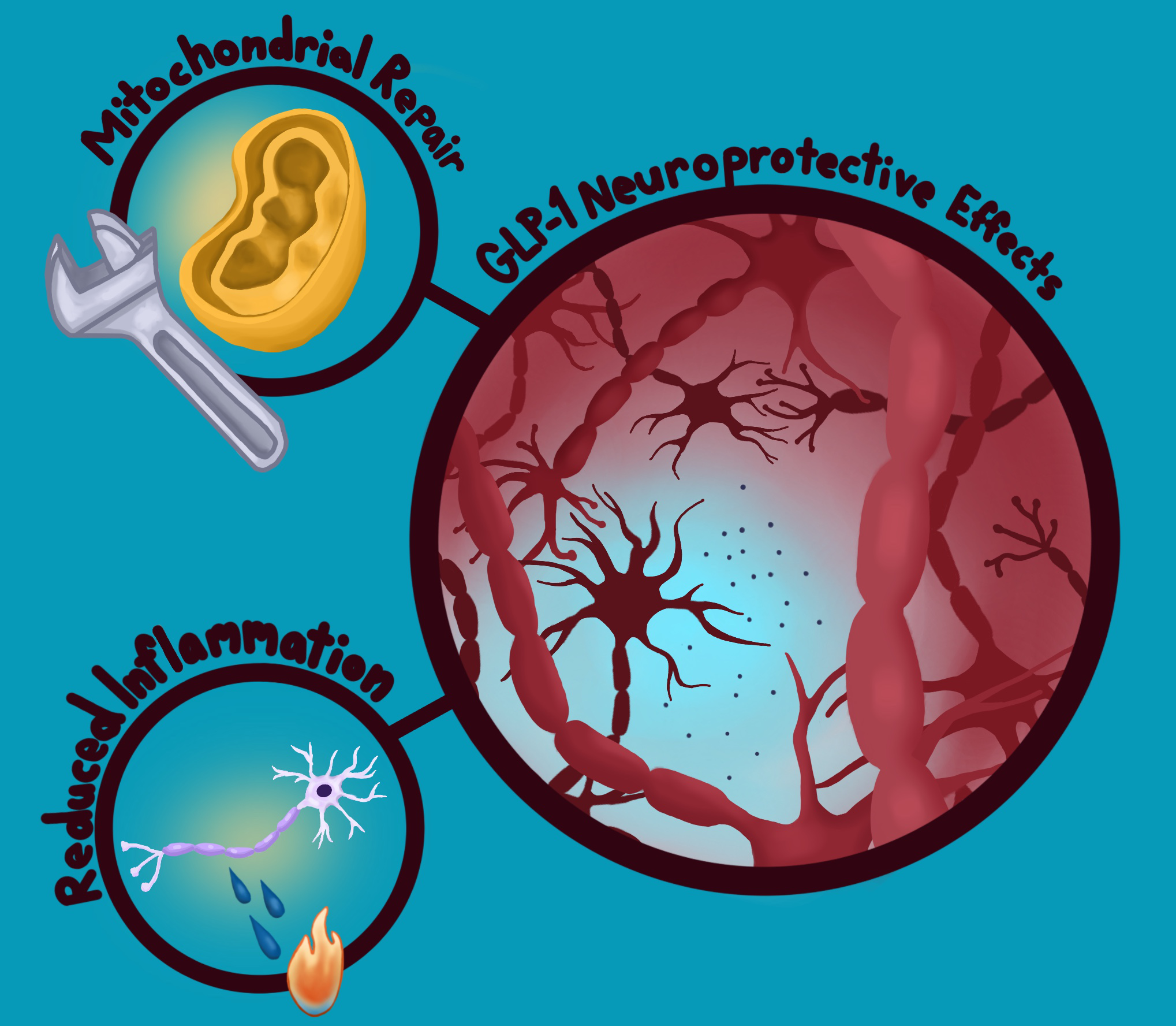 Art by: Grace Buckles, "Beyond the Billboards: Uncovering the Hidden Potentials of GLP-1 Medications"