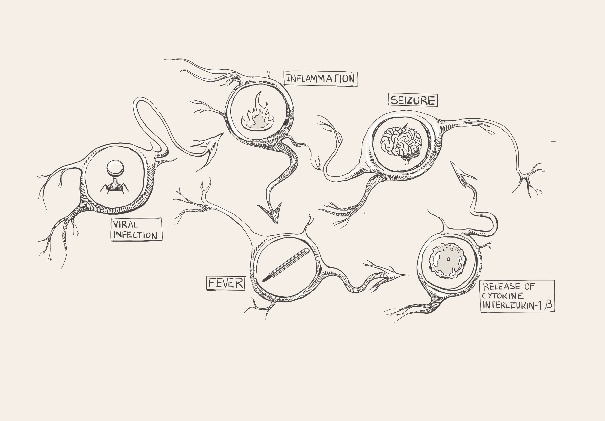 Art by: Cora Thompson, "Brain Under Fire: When Fever Turns to Seizure"