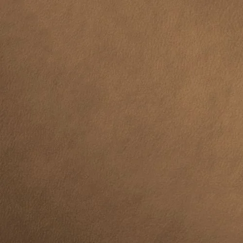 Cover_FauxLeather_Tan.jpeg