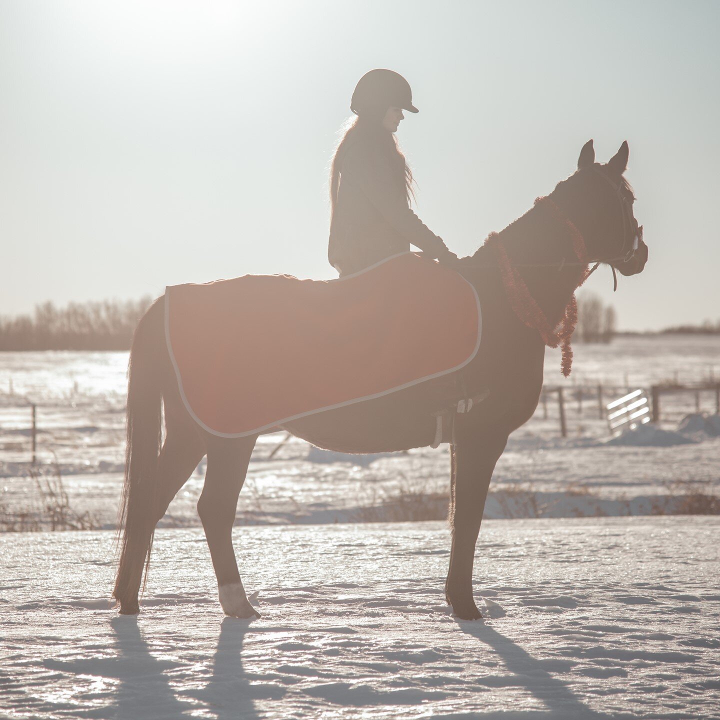 Vicky! It is so great to have you at the barn. We hope that soon we will be able to all lesson together and get to know you and Ace more!⁠
.⁠
.⁠
.⁠
.⁠
.⁠
#falkenbergstables #albertastables #albertahorses #albertaequines #equestrian #horsesofinstagram