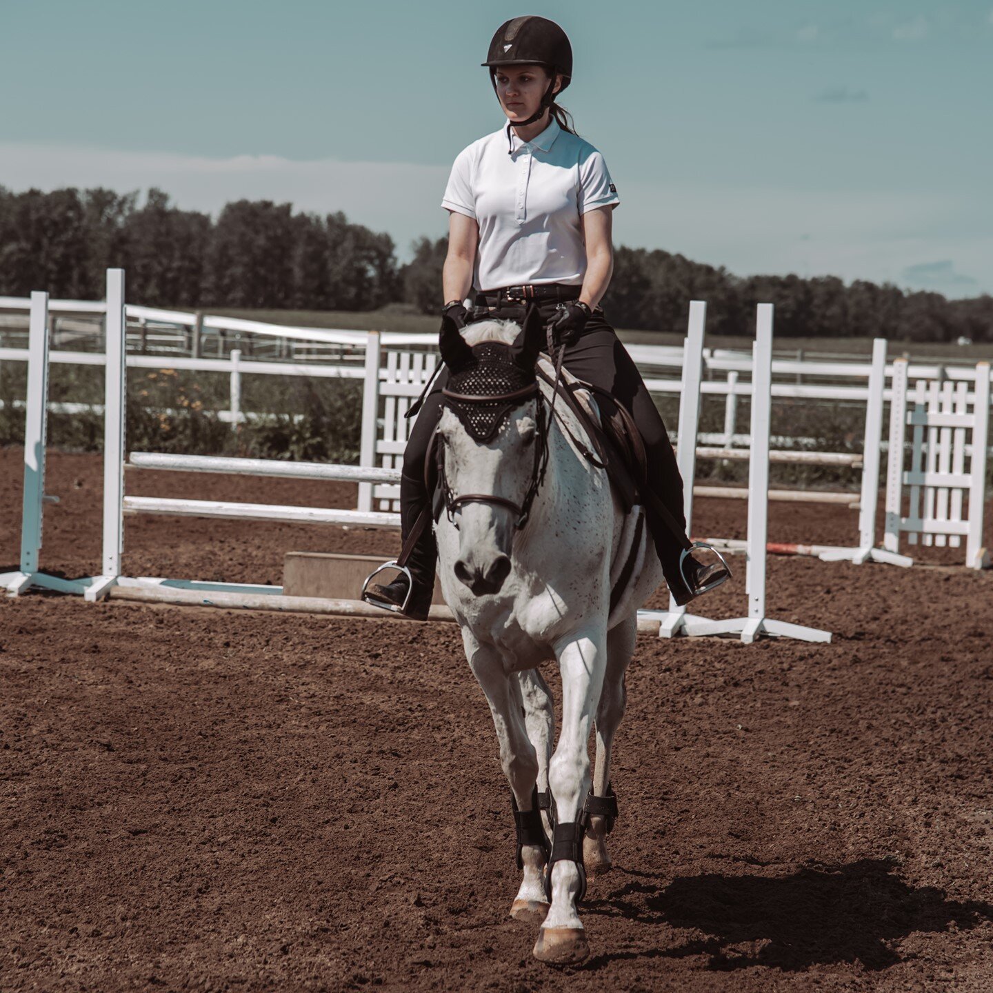 Christie - you and Romeo are to die for - rider and heart horse🥰. We love your amazing photography skills and it's so great having you as apart of our family! We can't wait to see you two rock the Hunter Ring!⁠
.⁠
.⁠
.⁠
.⁠
.⁠
#falkenbergstables #alb