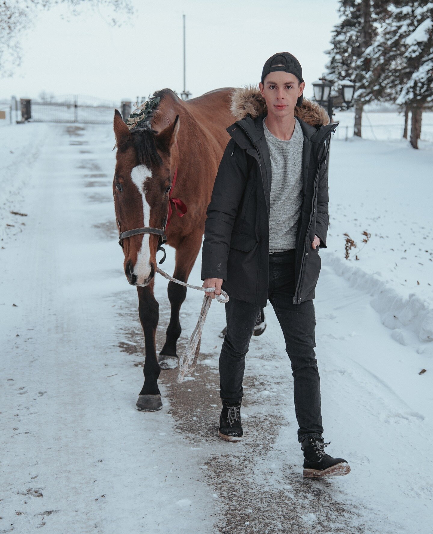 Dallas - our equestrian model. Your personality lights up our barn like nobody else's! Thank you for being with us 🖤⁠
.⁠
.⁠
.⁠
.⁠
.⁠
#falkenbergstables #albertastables #albertahorses #albertaequines #albertashowjumping #equestrian #horsesofinstagram