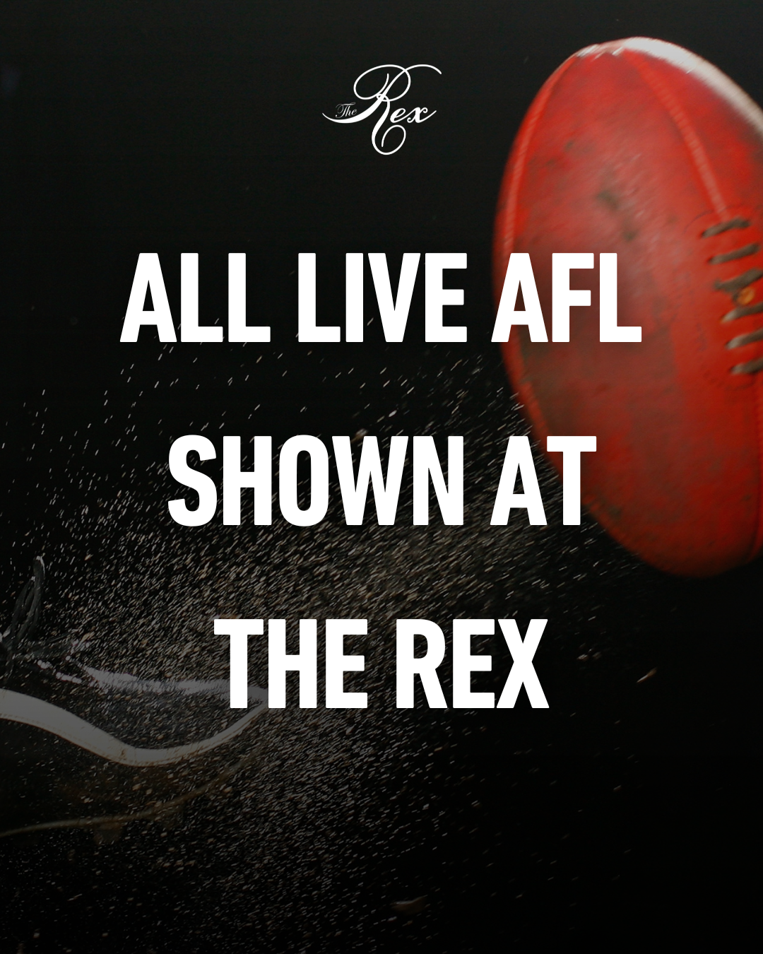 The Rex (6).png
