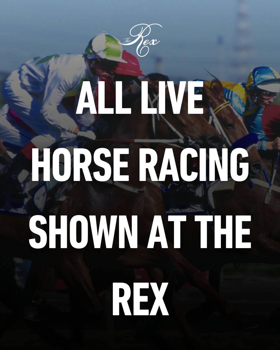 The Rex (11).png