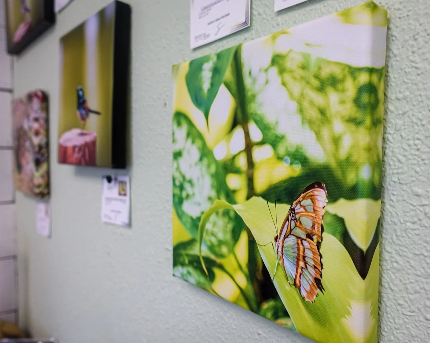 Handmade soaps, artisan jewelry, photography prints, and more to be found here! Come take a peek 👀

#localboutique #curatedshop #localartistspotlight