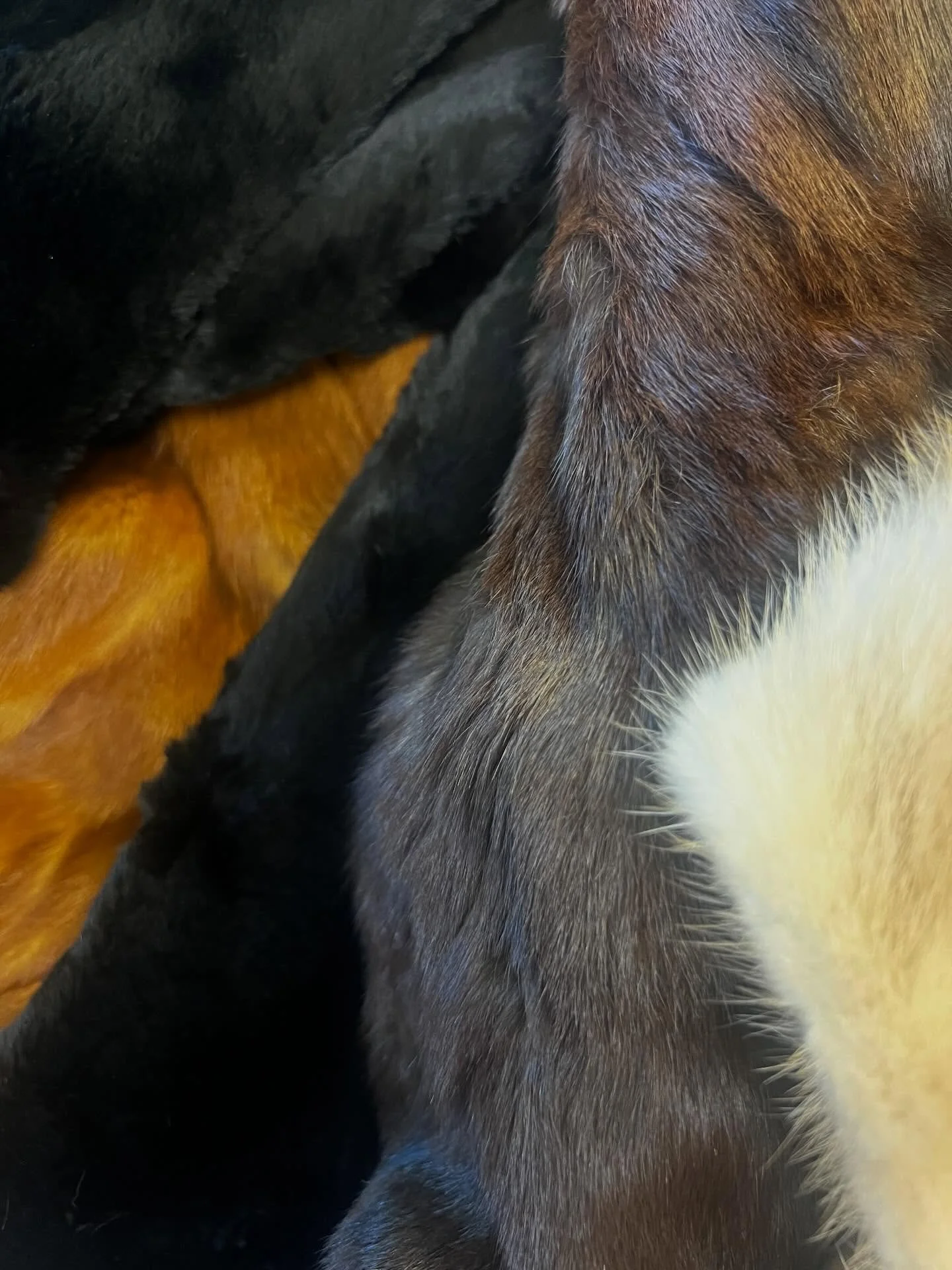 Fur day !! 🐇
Adding to the inventory for next season.

We are now open Friday Saturday 12-5 pm

You can get in through @arttherapycorp on other days 

We have the warmer clothes out for a few more weeks then will switch to our to our lighter  select