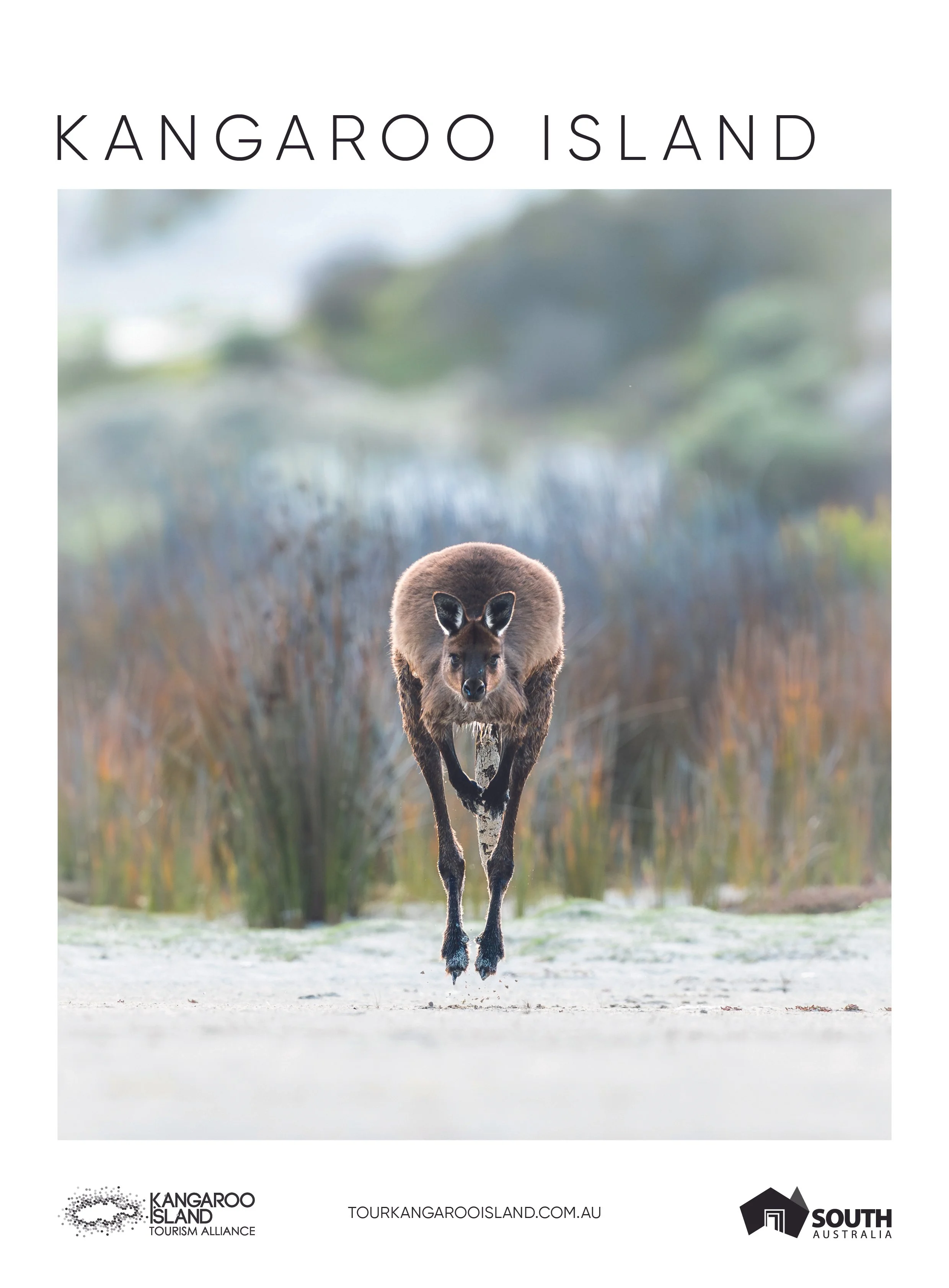 Kangaroo Island VG 2026_Cover.jpg