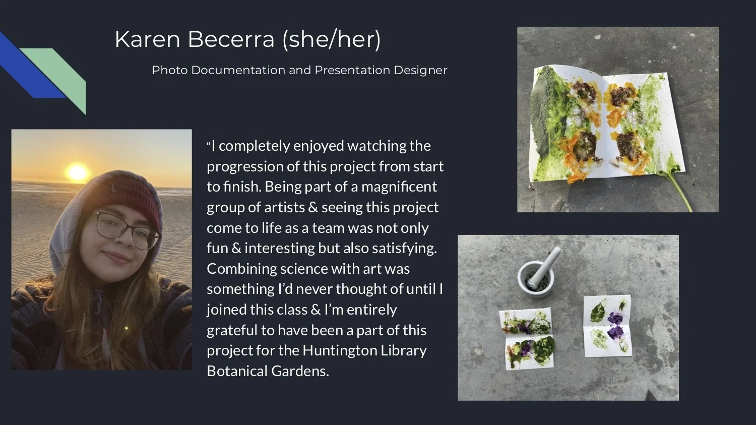 Color Library - Presentation of Processr.jpg