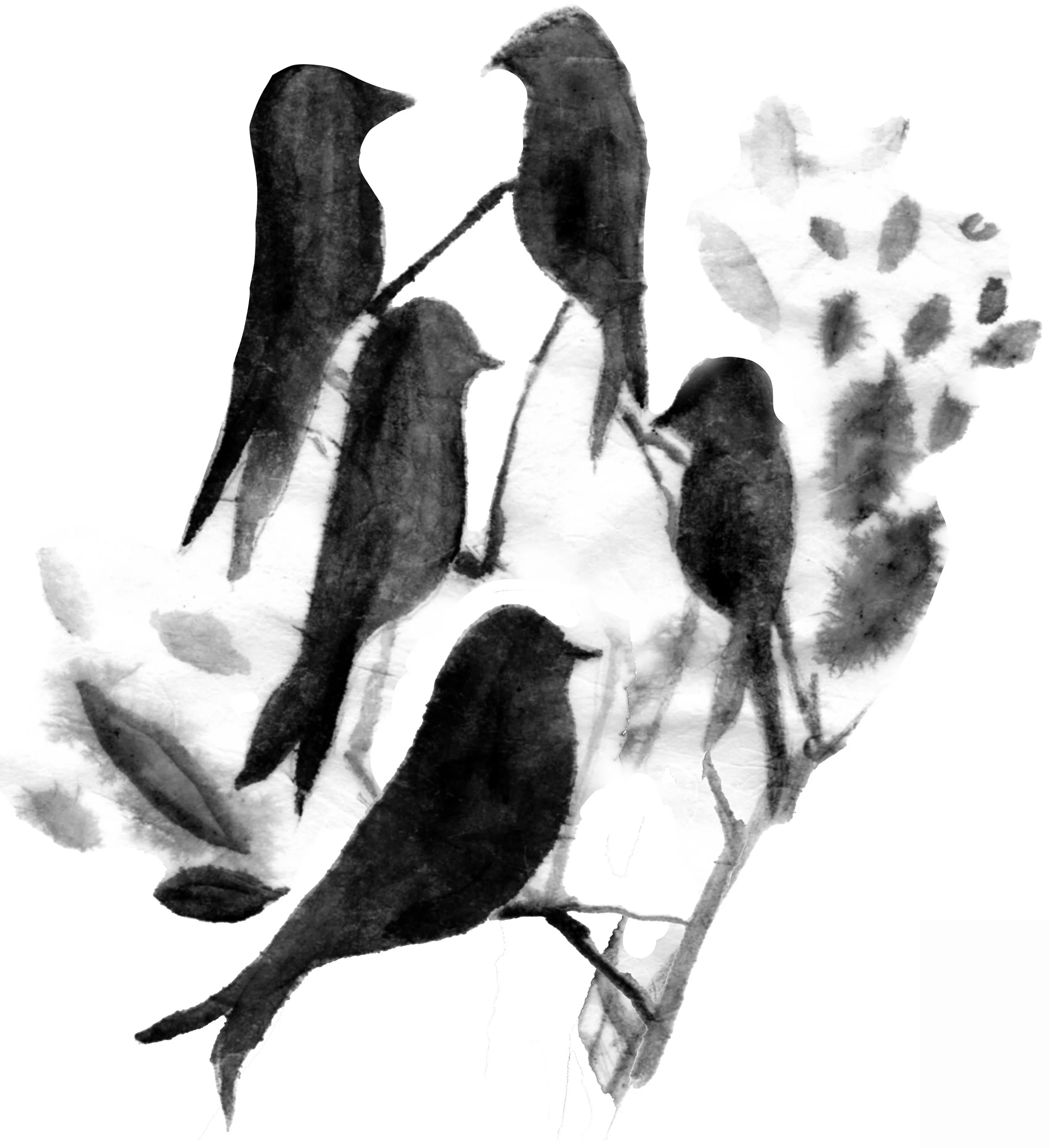 Book of Trees: Palm and Citron