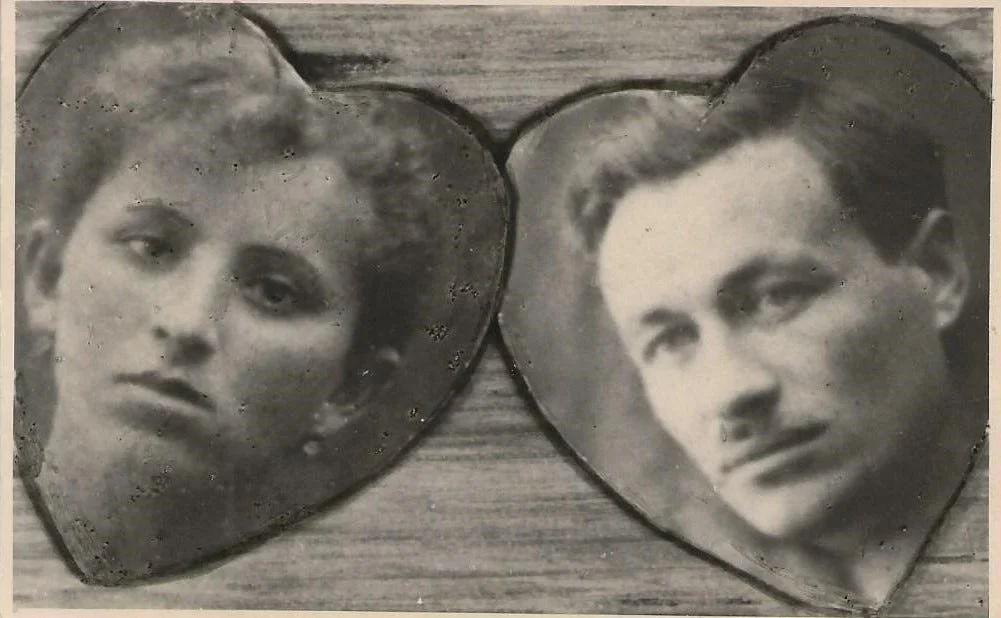 Book of Trees: Pine Meets Birch (7)