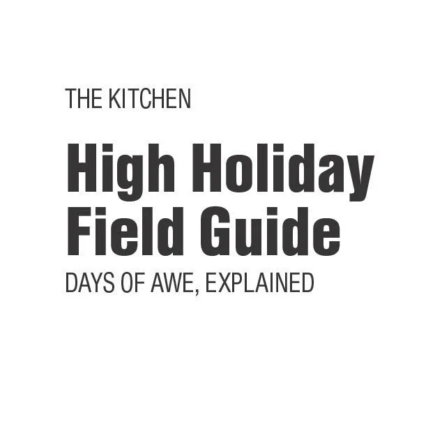 HHDBookCover.jpg