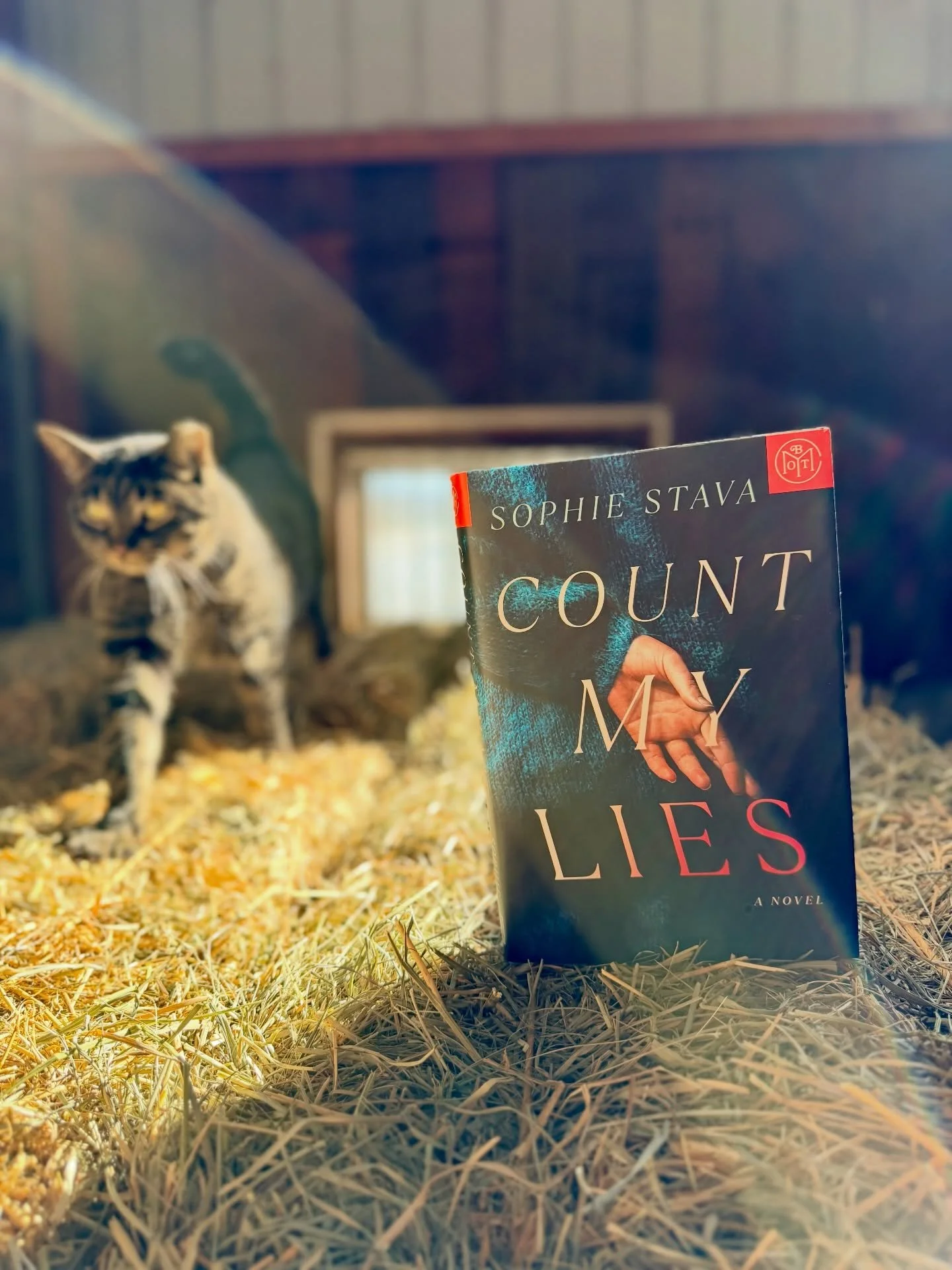 I devoured Count My Lies like it personally offended me and I needed answers immediately. It&rsquo;s twisty, smart, and deliciously unhinged in that just one more chapter way that turns into staying up way too late. Every time I thought I had it figu