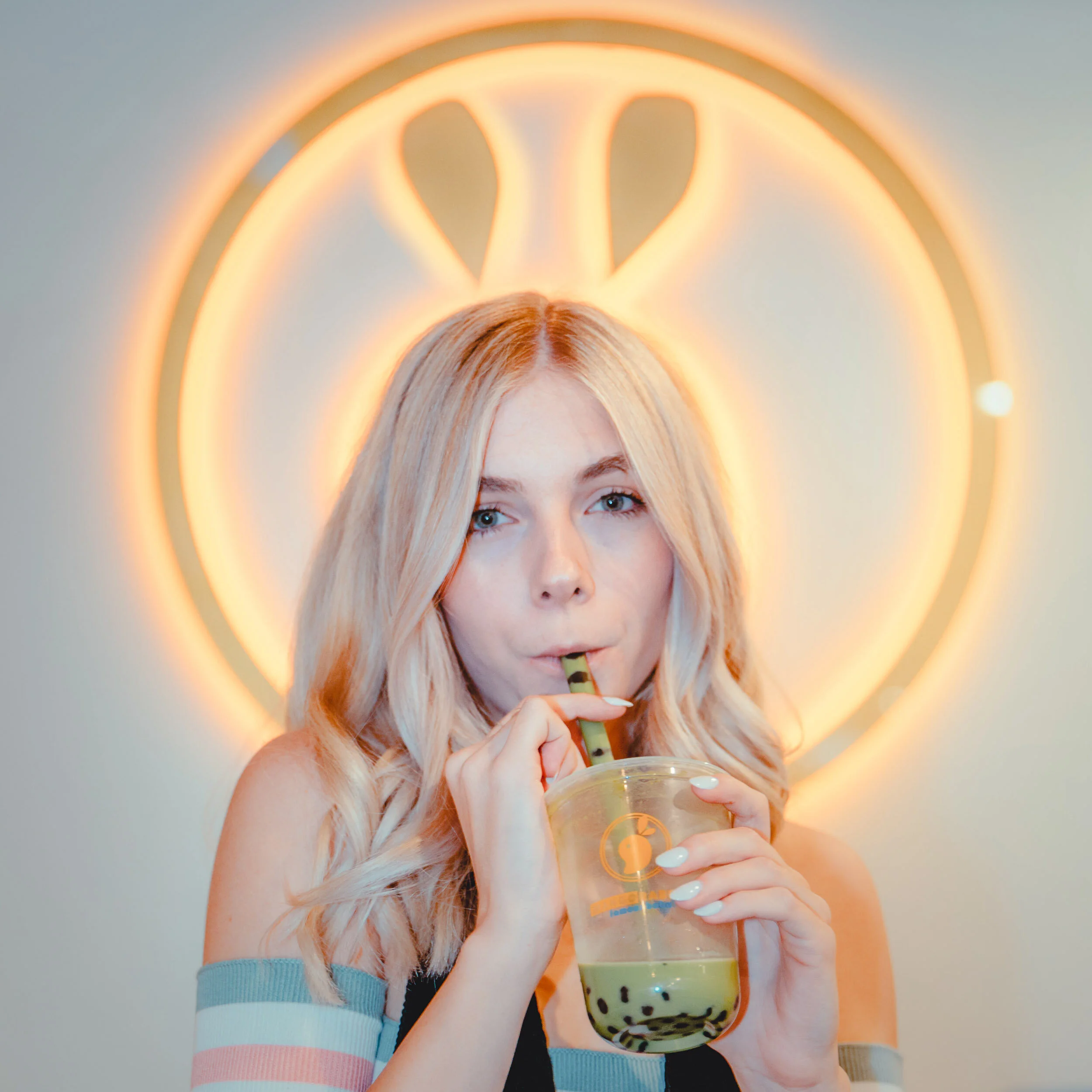 Gallery — Mango Rabbit