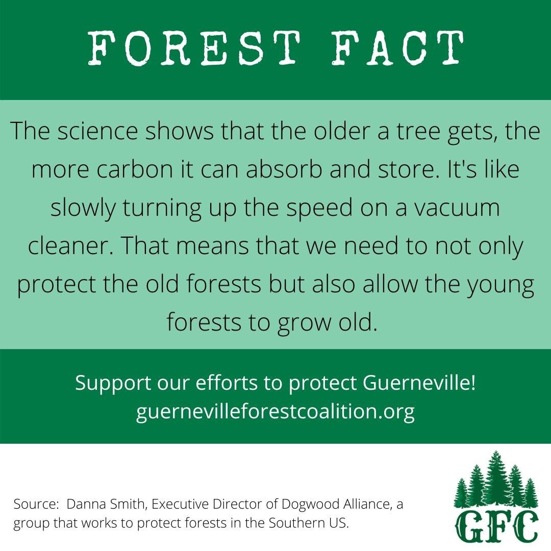 Support our efforts to protect Guerneville!  https://www.guernevilleforestcoalition.org/take-action