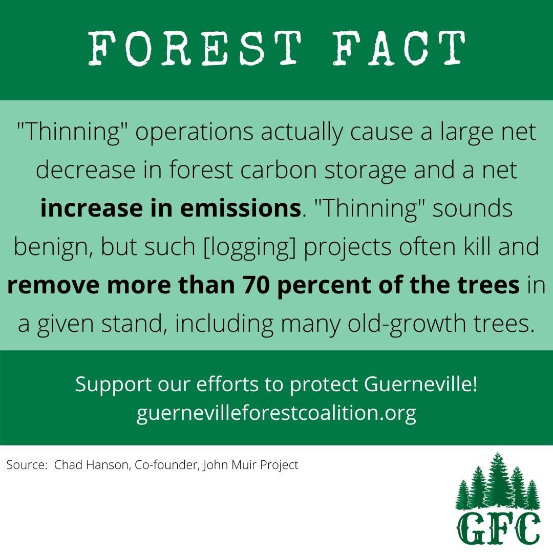 Support our efforts to protect Guerneville's forest, economy and safety!
https://www.guernevilleforestcoalition.org/take-action