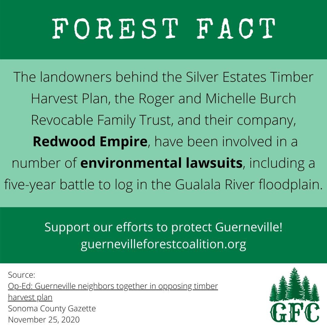 Please consider supporting our legal fund!
https://www.guernevilleforestcoalition.org/take-action