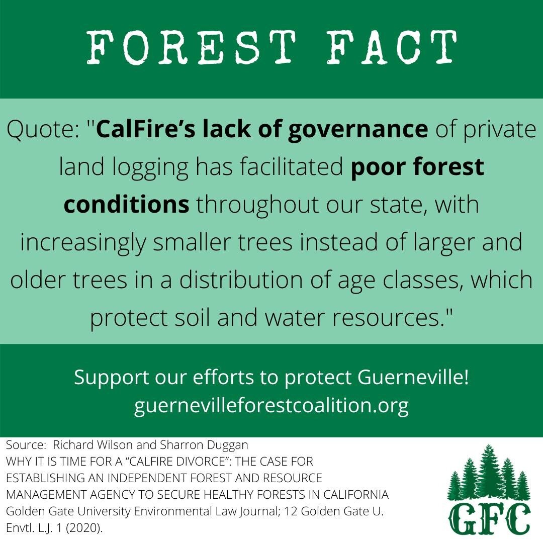 Please urge CalFire to address the serious flaws with this logging plan!
https://www.guernevilleforestcoalition.org/take-action
