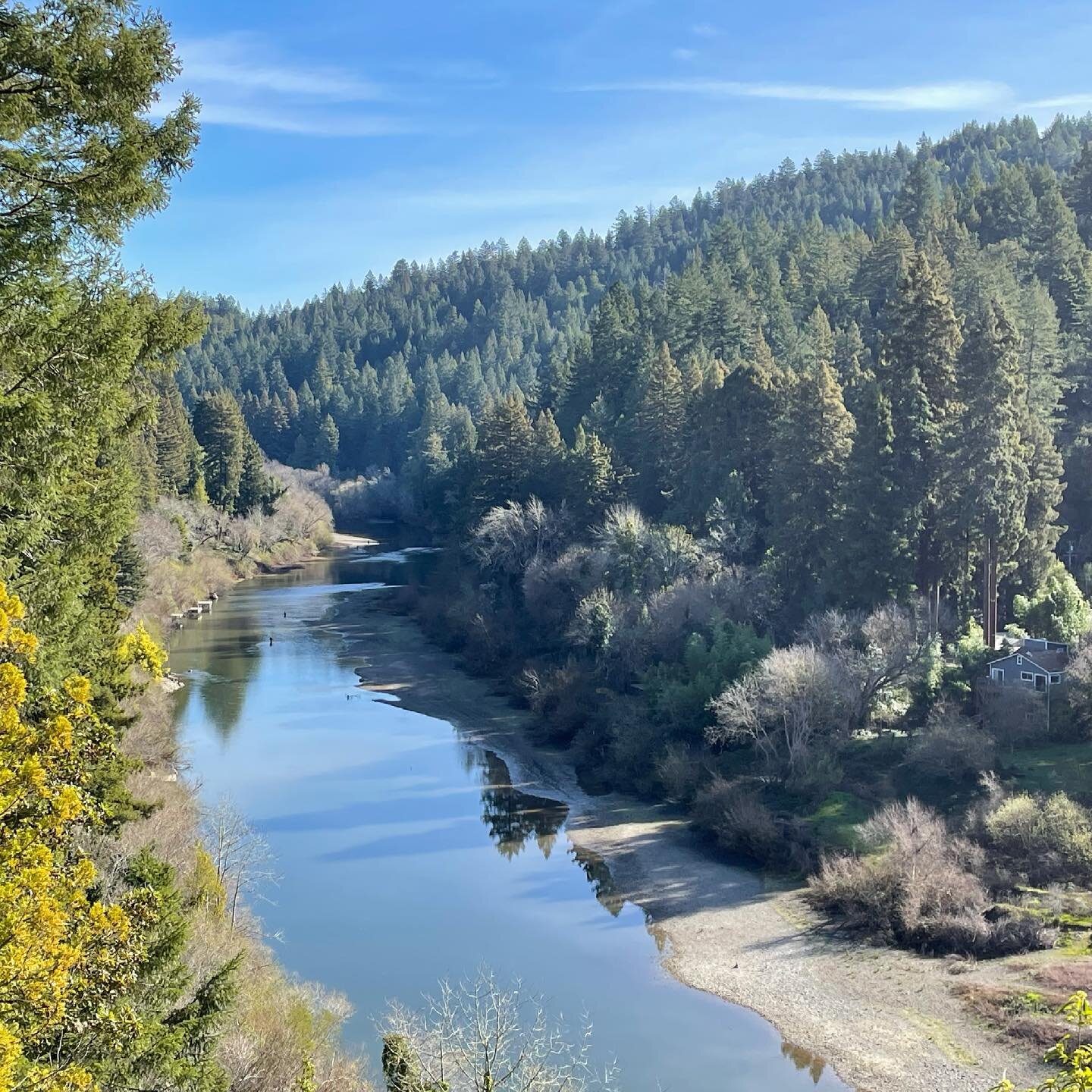 It&rsquo;s a year to the day that the GFC was created and we held our first meeting over Zoom. Thanks to everyone who has encouraged and supported our efforts to protect the Redwoods and Douglas Firs along the Russian River in Guerneville. Whether yo