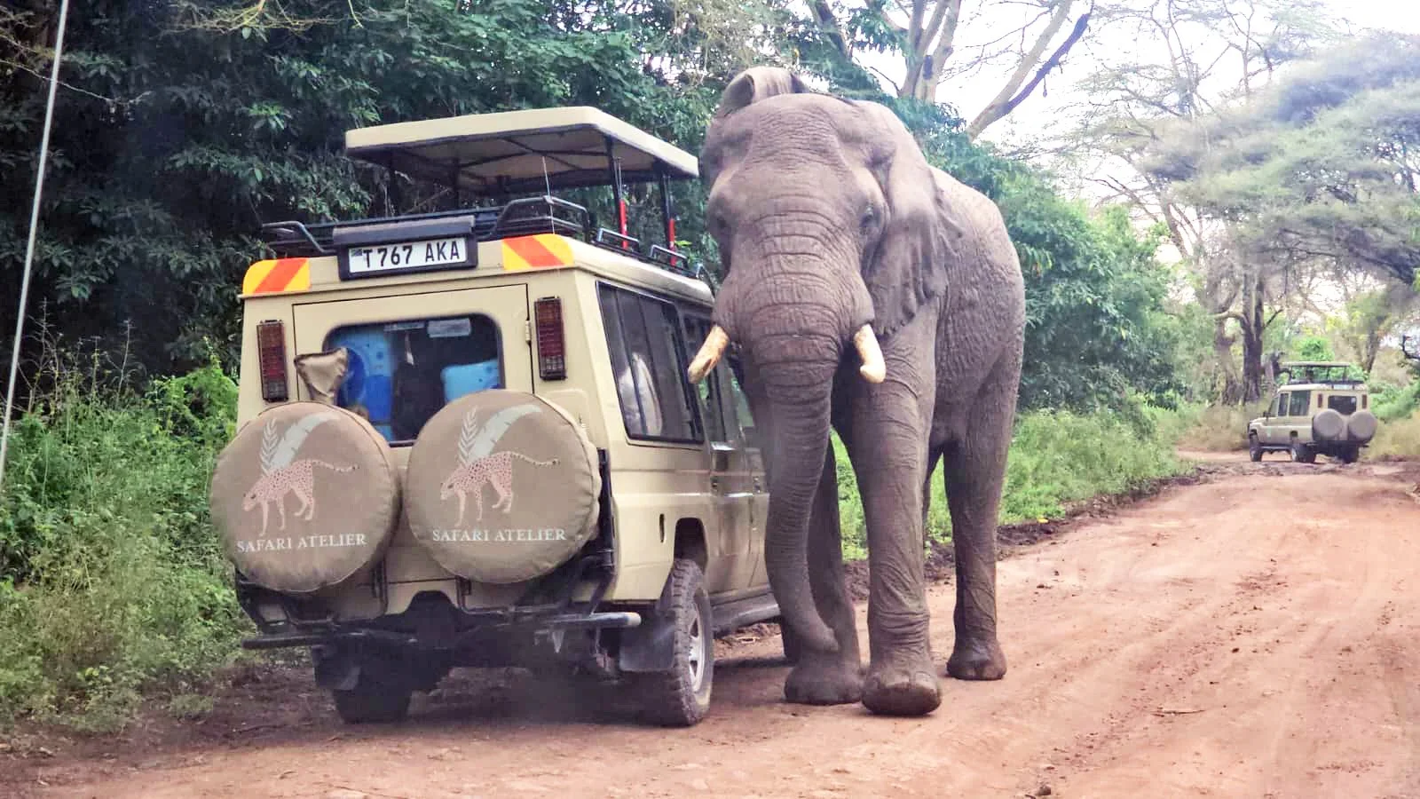 SA car with elephant.jpg