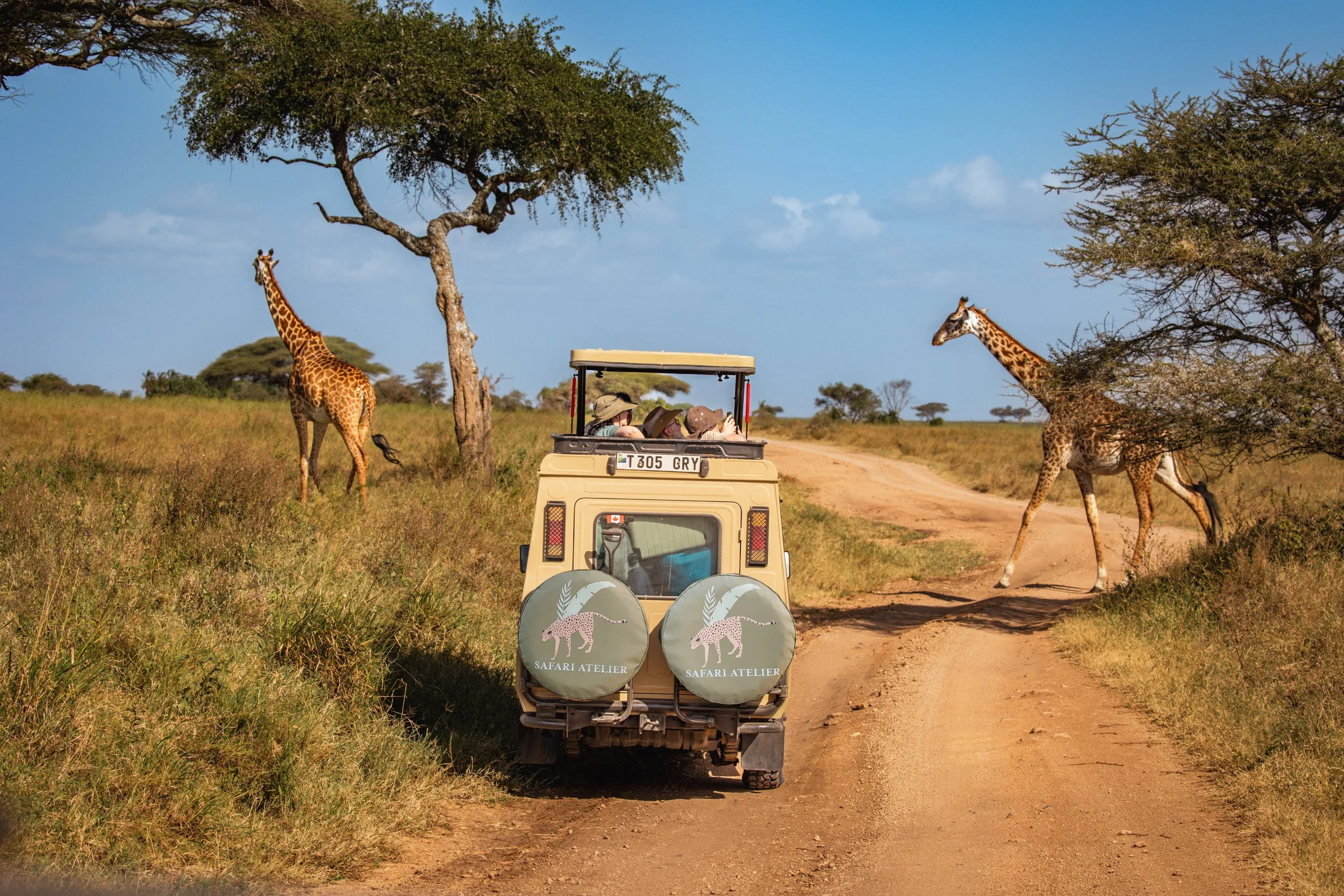 guest car with giraffes1..jpg