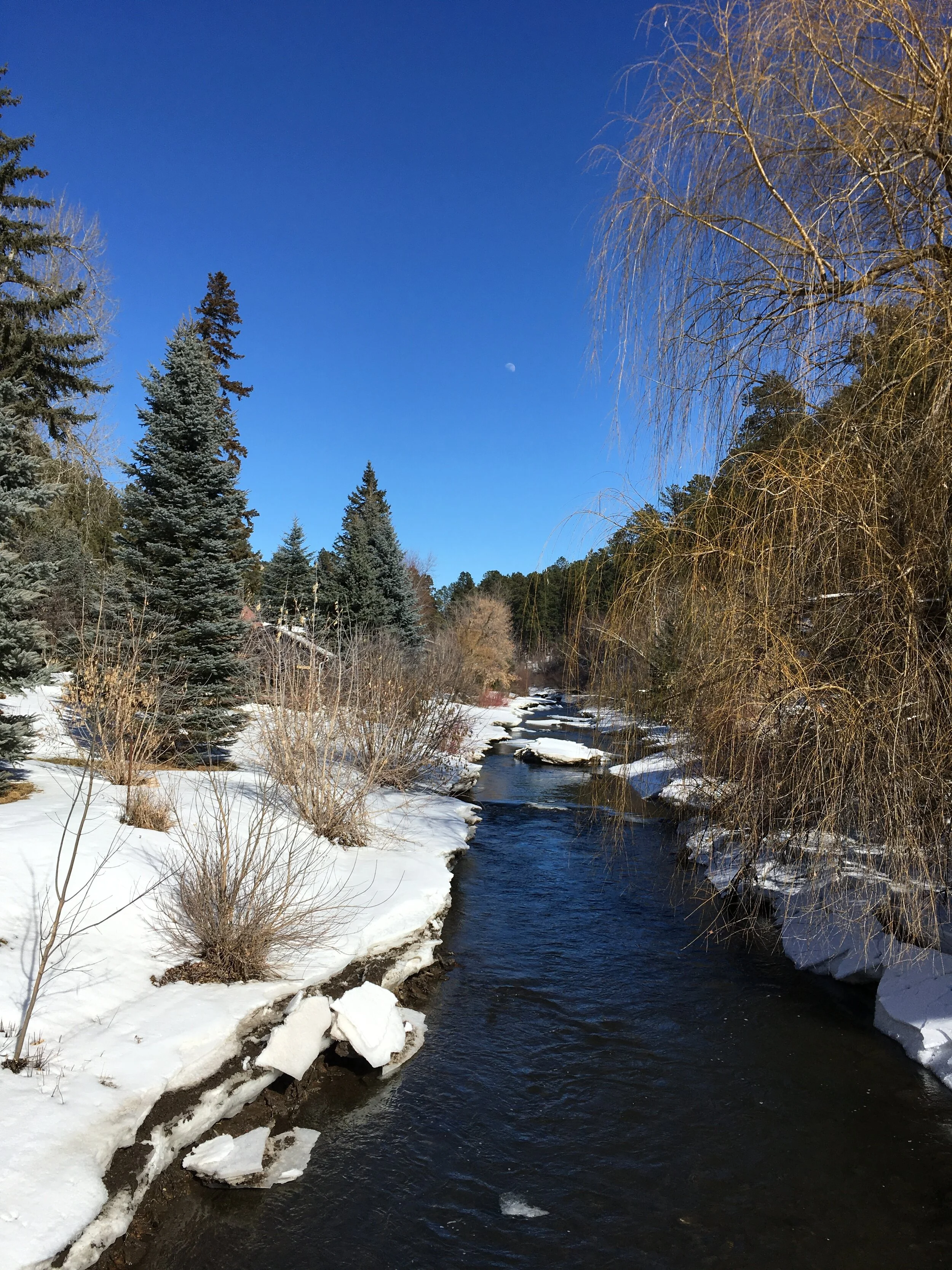 web 11-Winter Creek.JPG