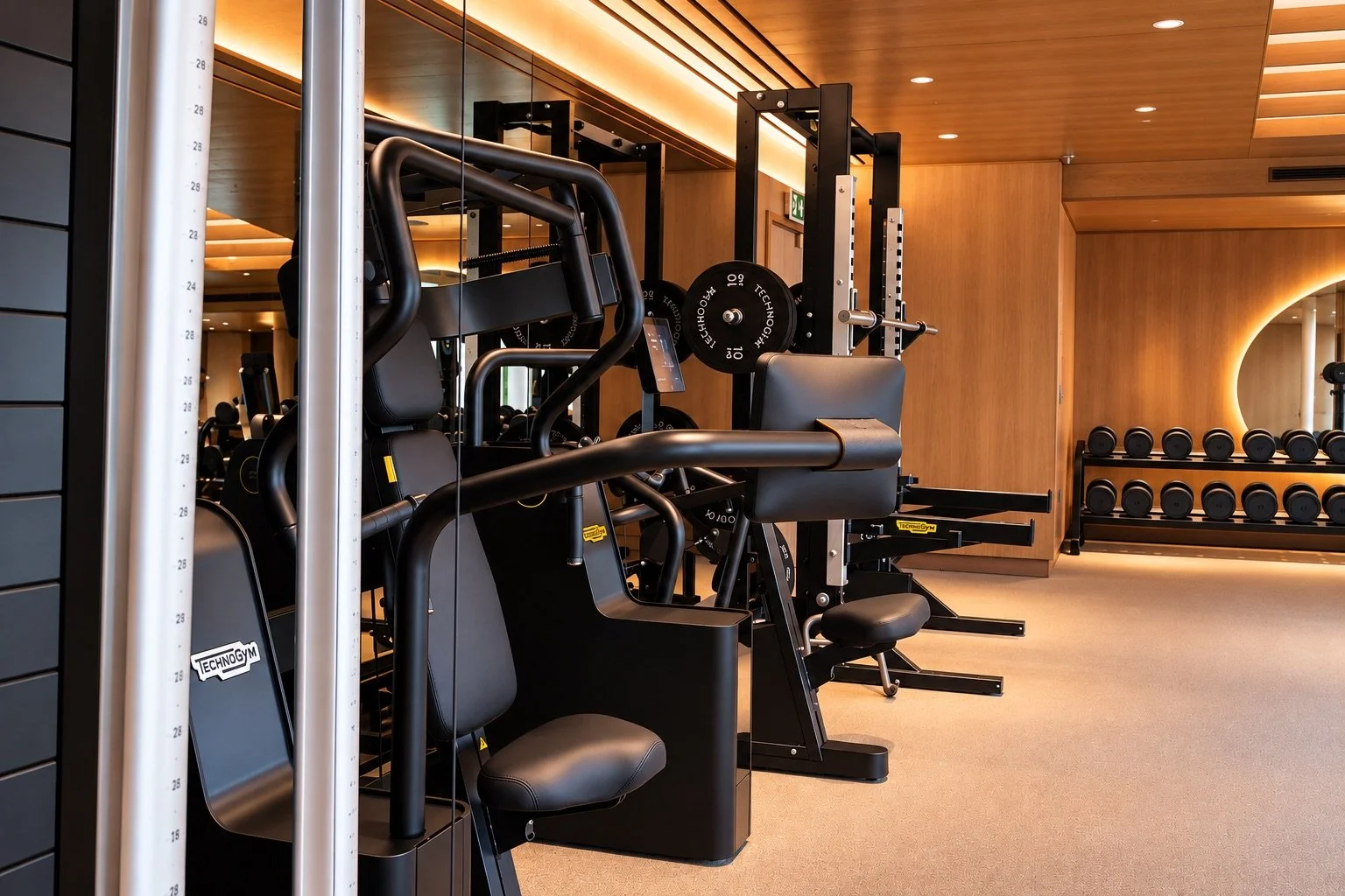 Warm Modern Technogym Interior.jpeg