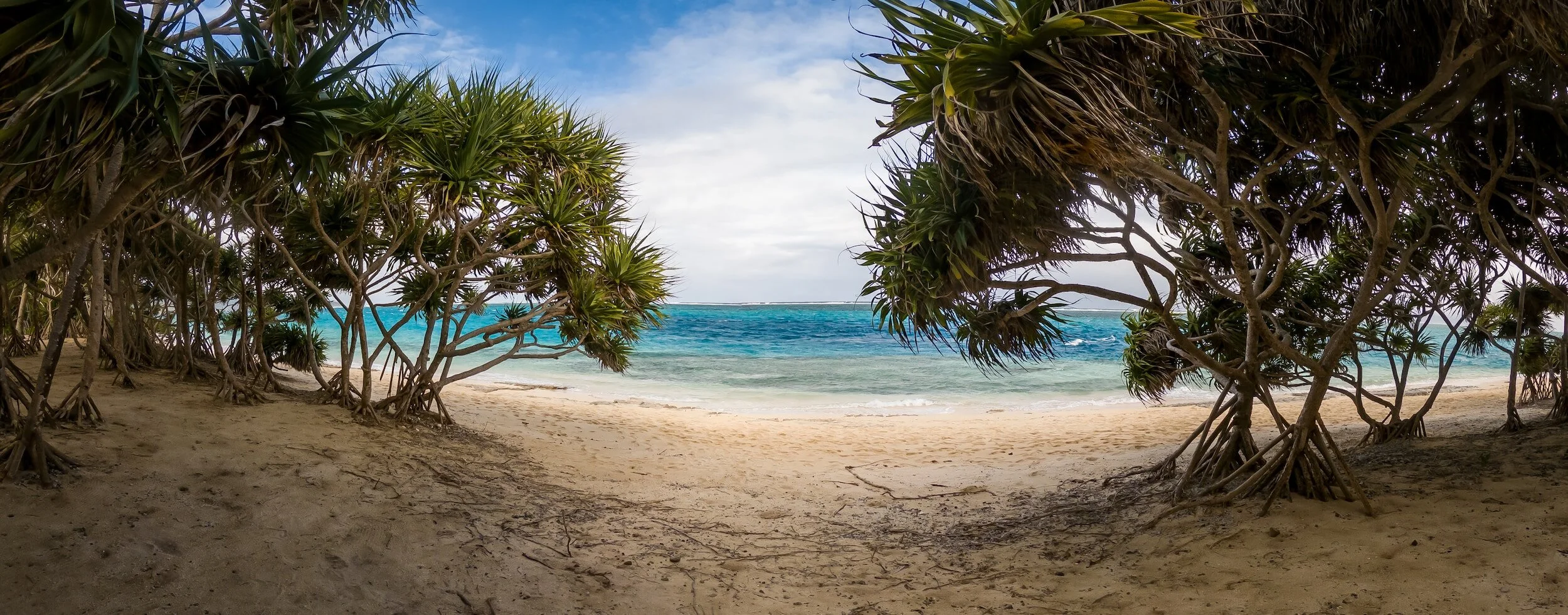 View through tropical trees onto sandy beach and blue ocean with cloudy sky