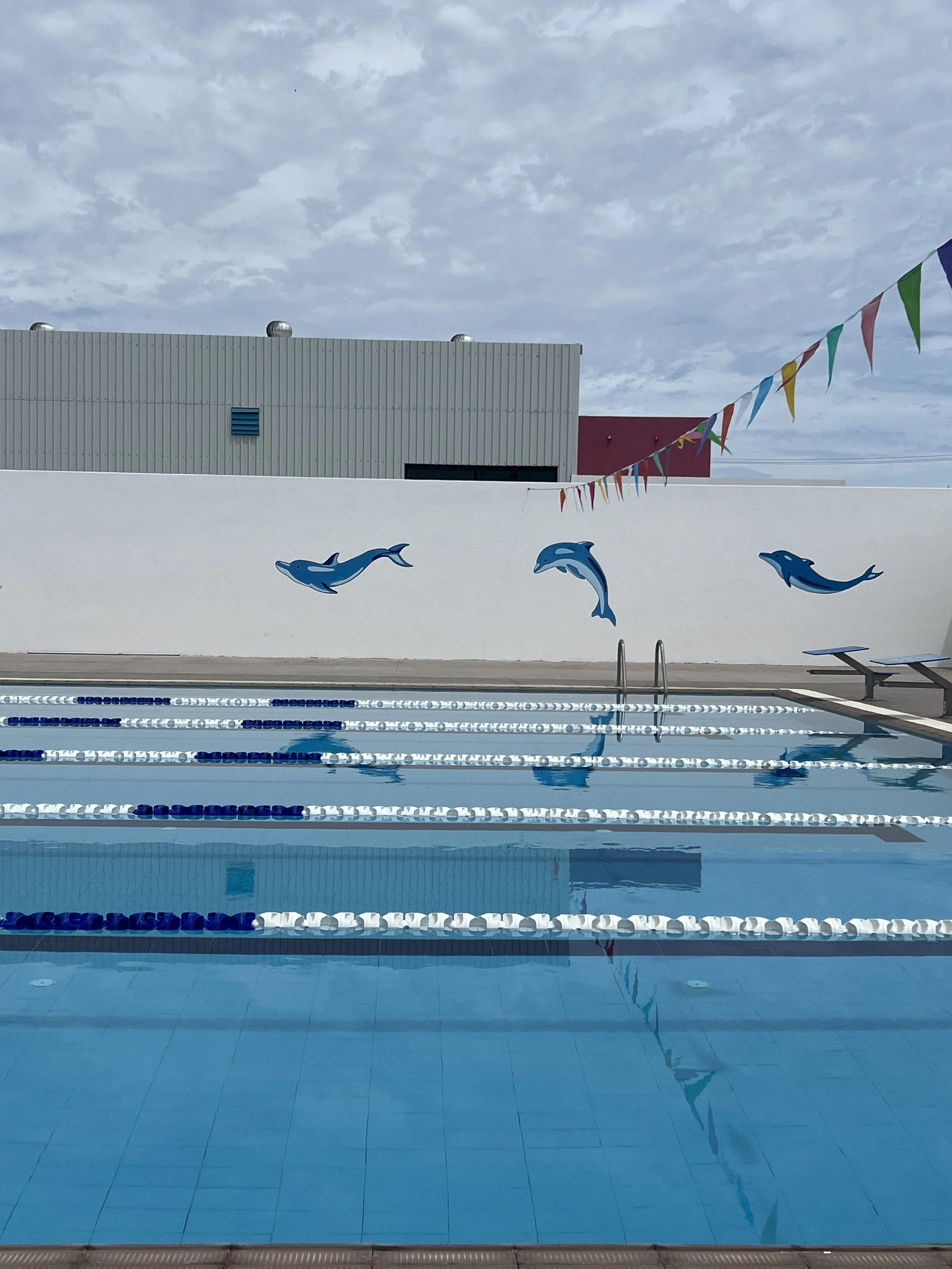 Swimming pool with blue and white lane lines, dolphin decals on a white wall behind the pool, and a string of colorful pennant flags overhead. Overcast sky in the background.