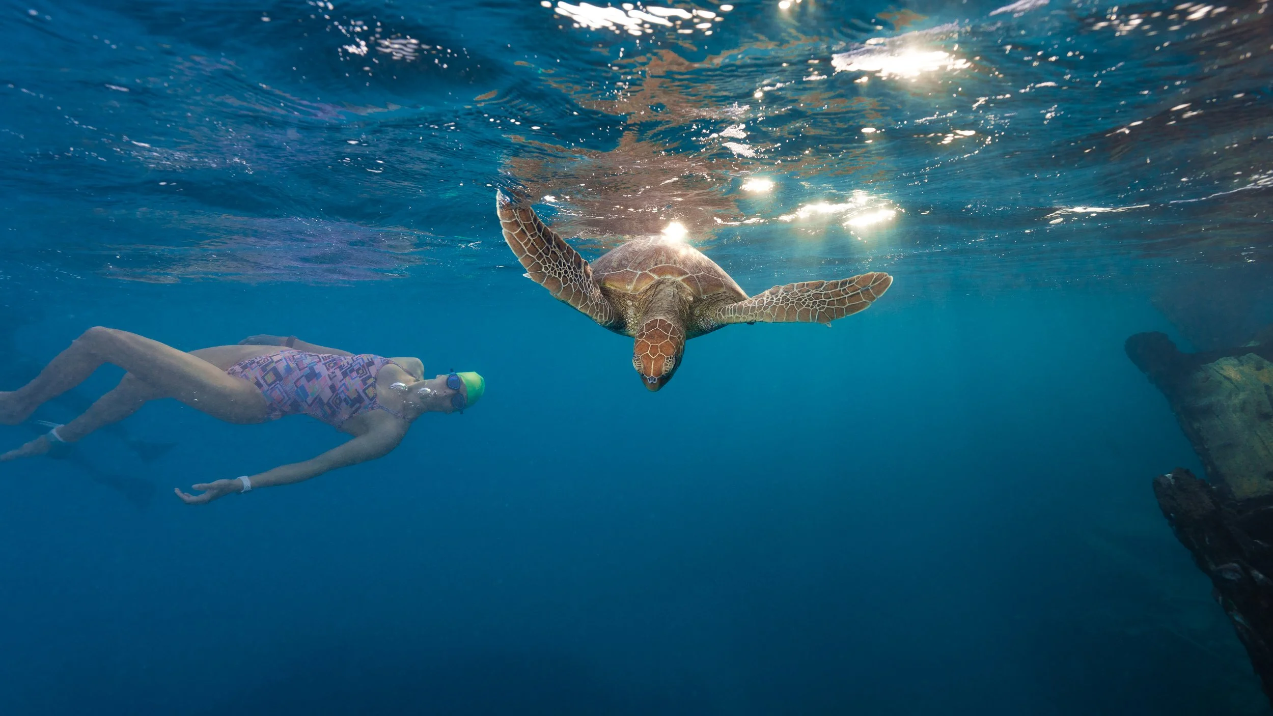 A girl swimming underwater towards a sea turtle, wearing a colorful swimsuit and swimming goggles, with a rock formation visible on the right side.