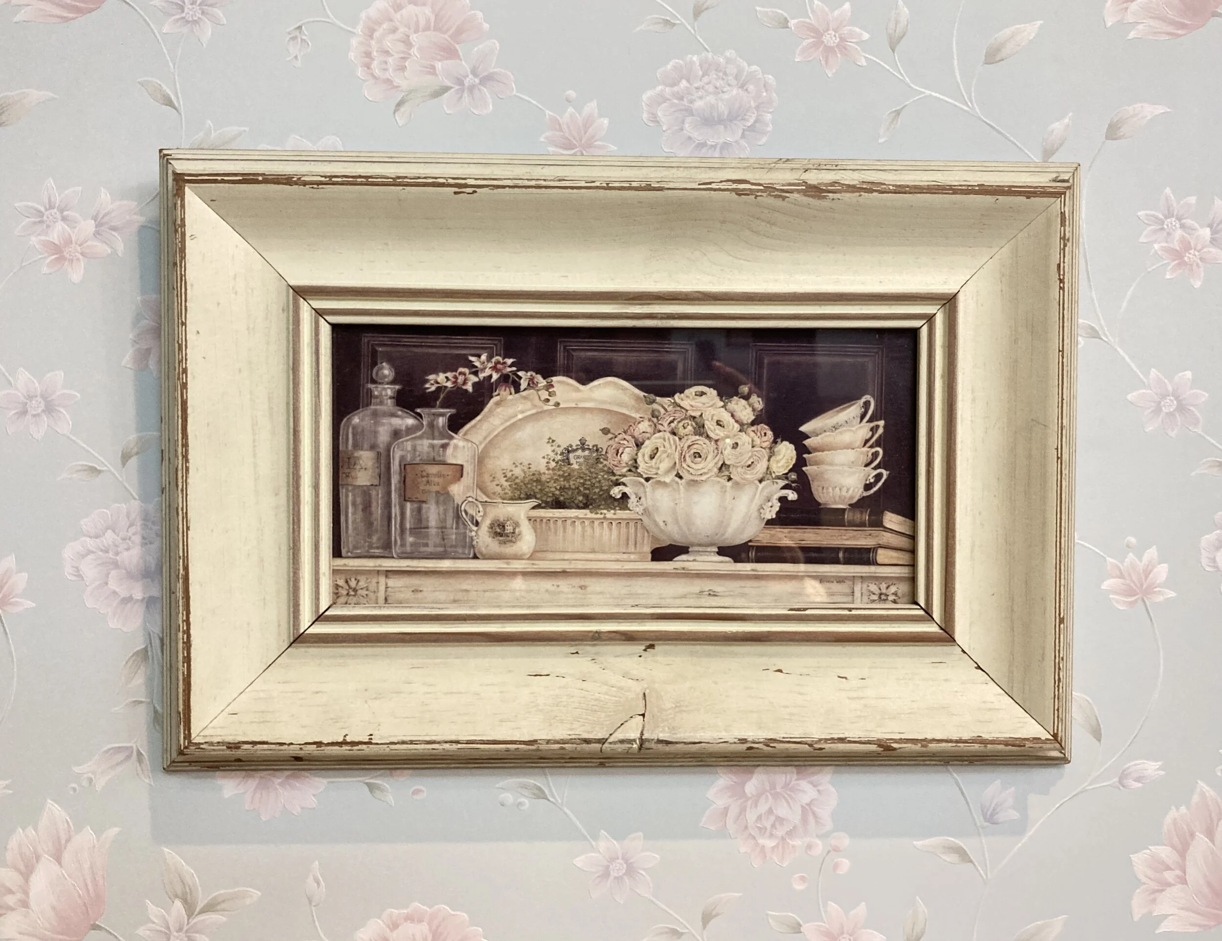 本日のおすすめ